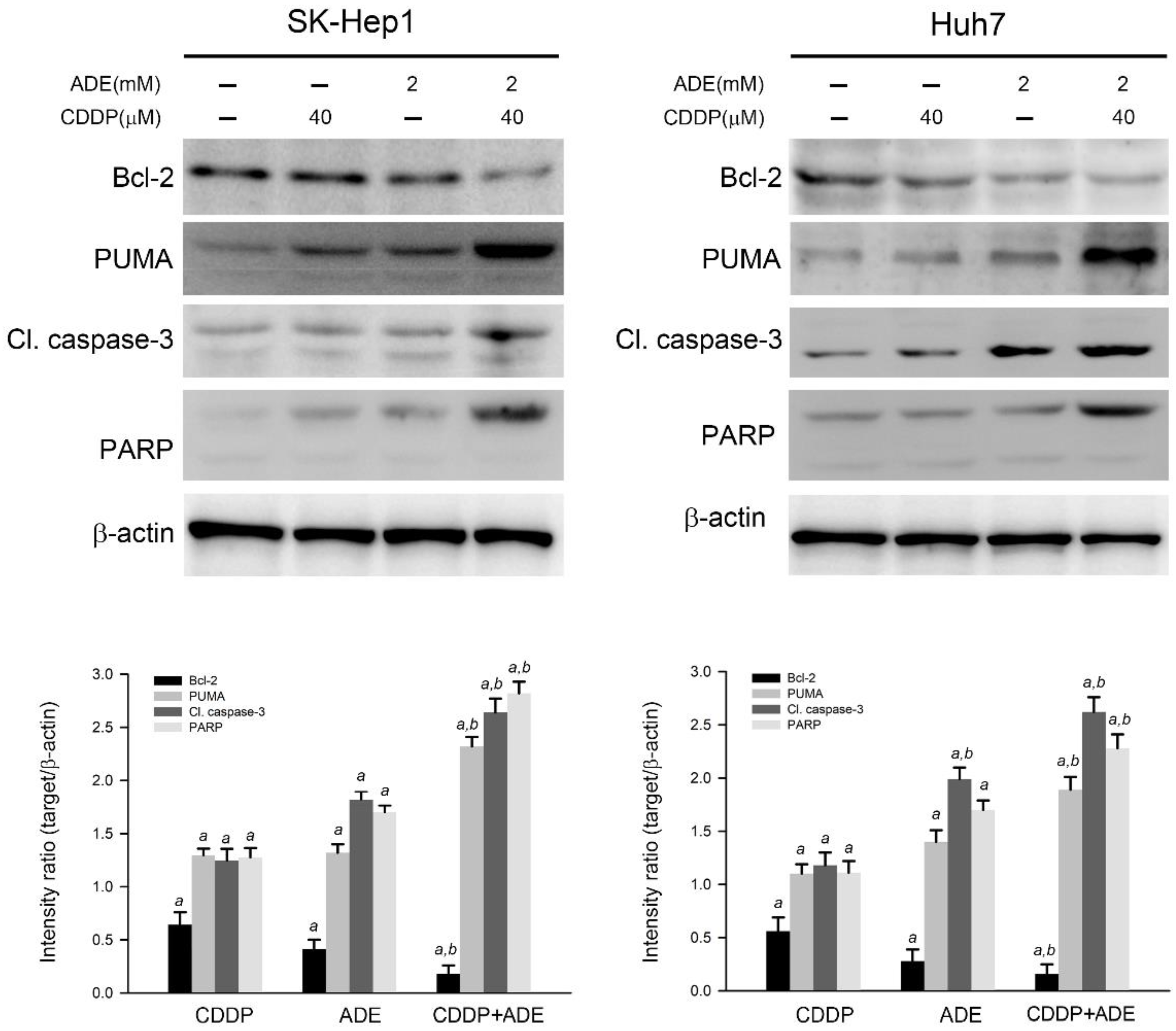 Pharmaceuticals 15 00795 g004
