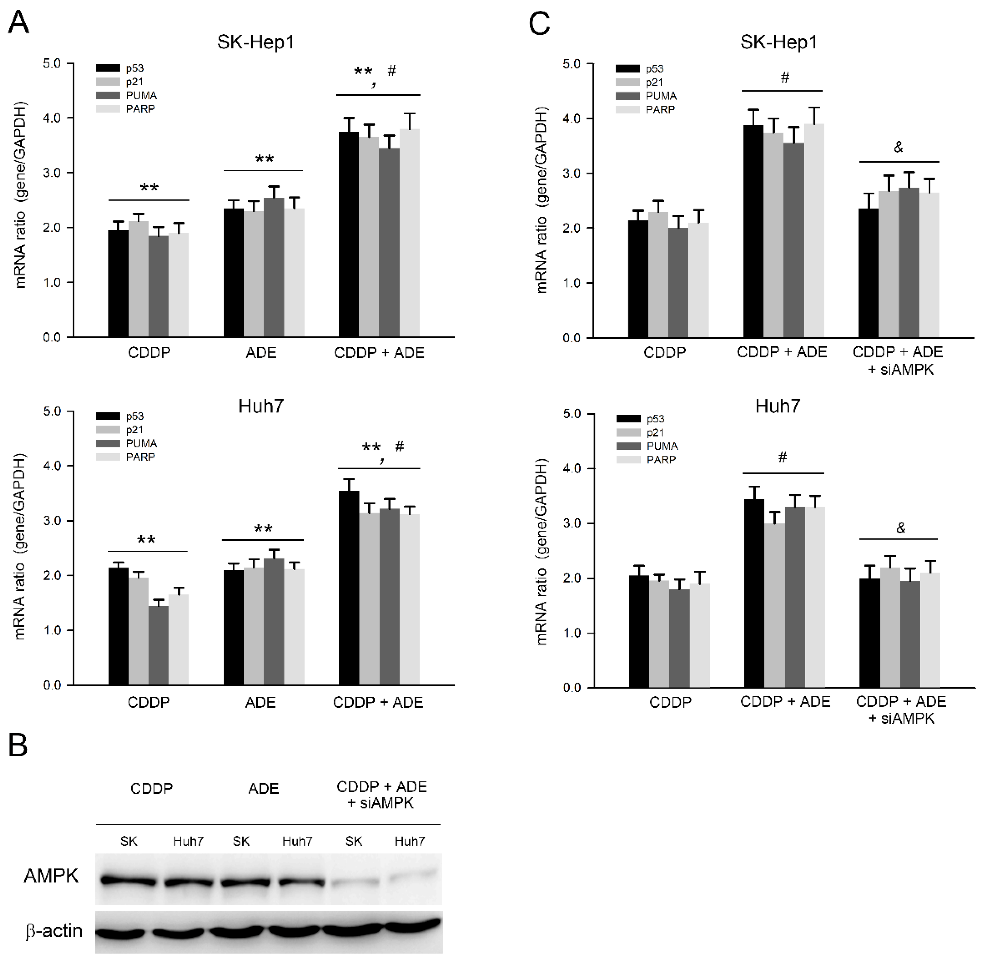 Pharmaceuticals 15 00795 g005