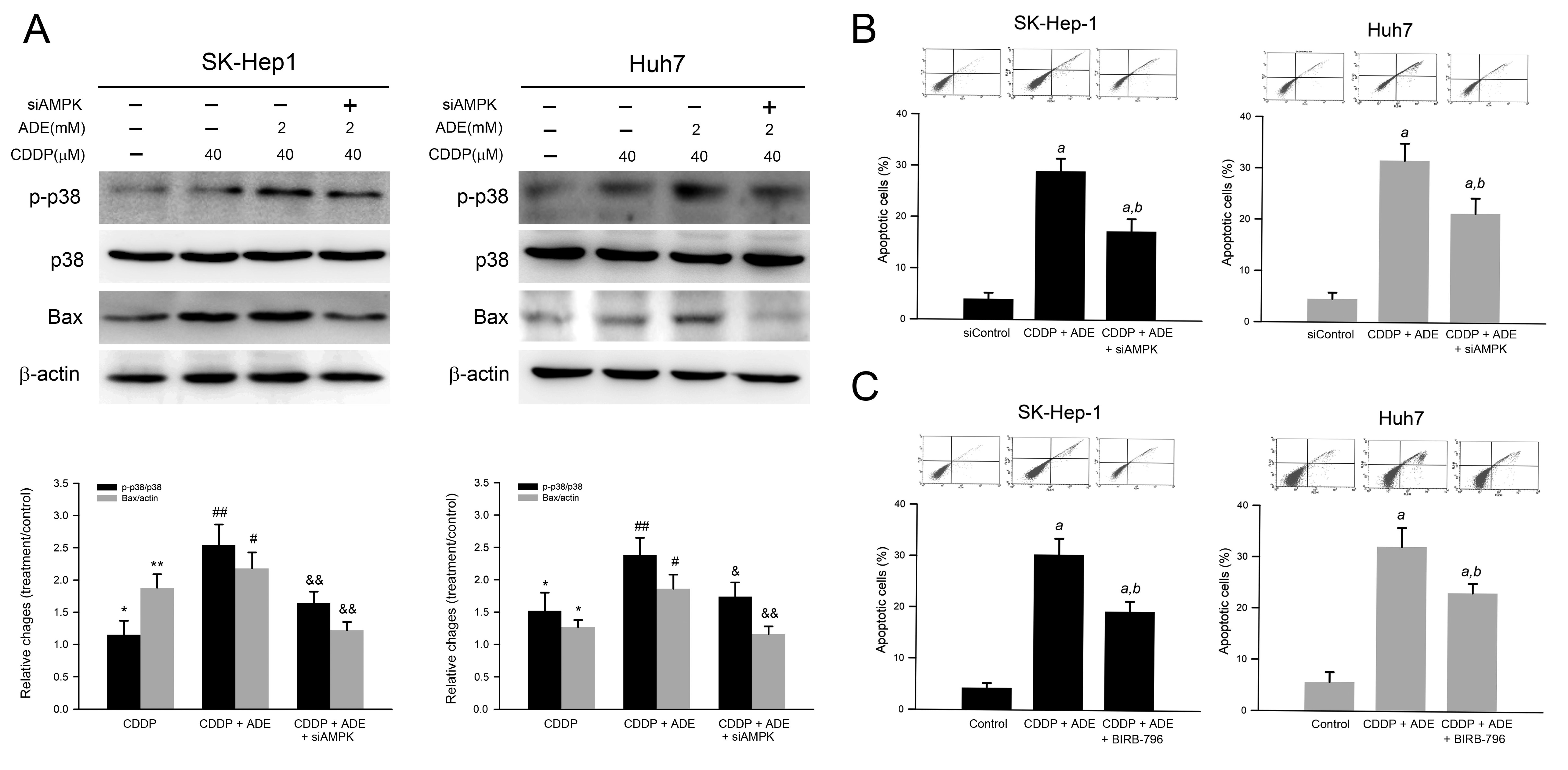 Pharmaceuticals 15 00795 g006