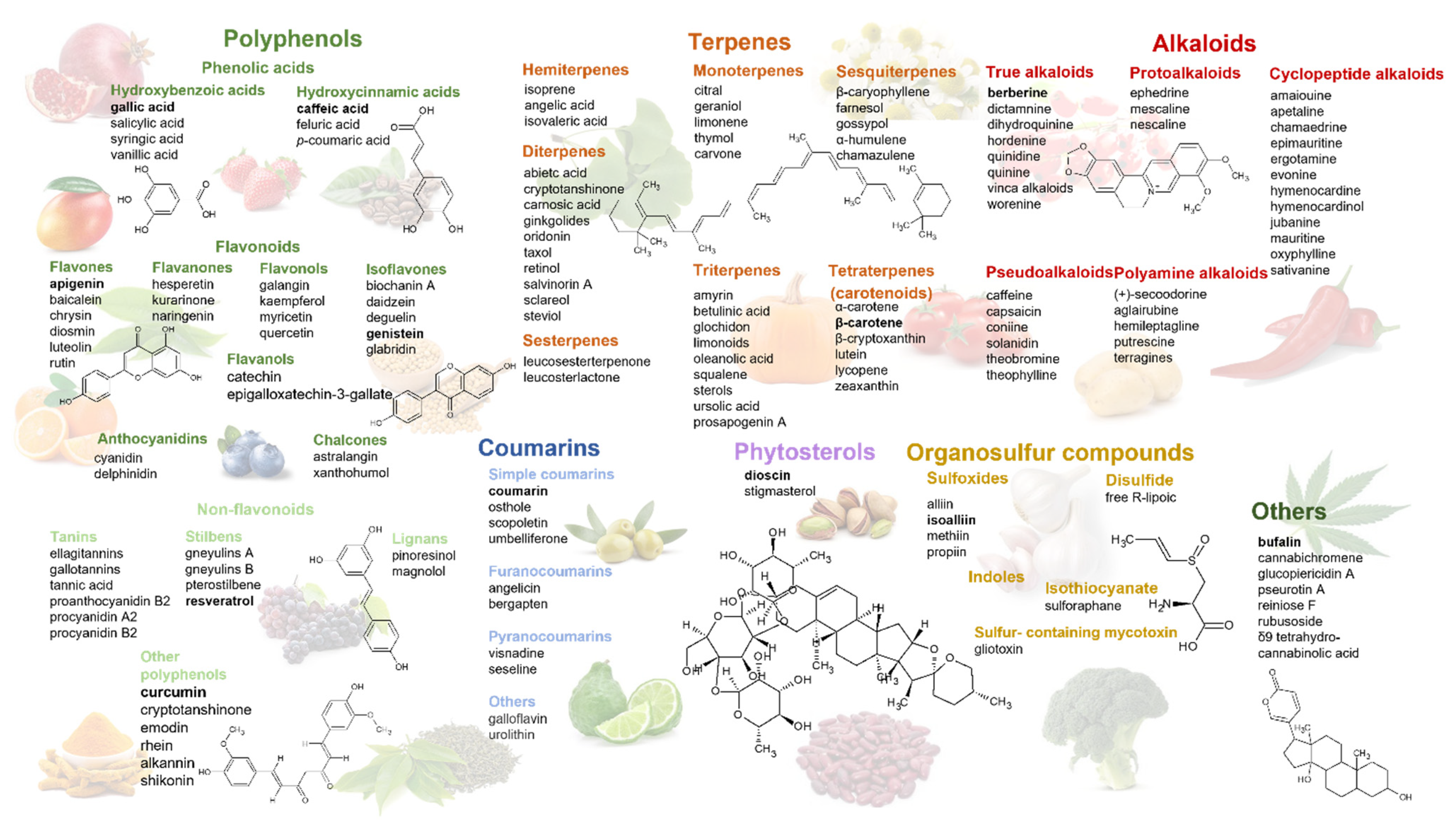 Pharmaceuticals 15 00808 g001