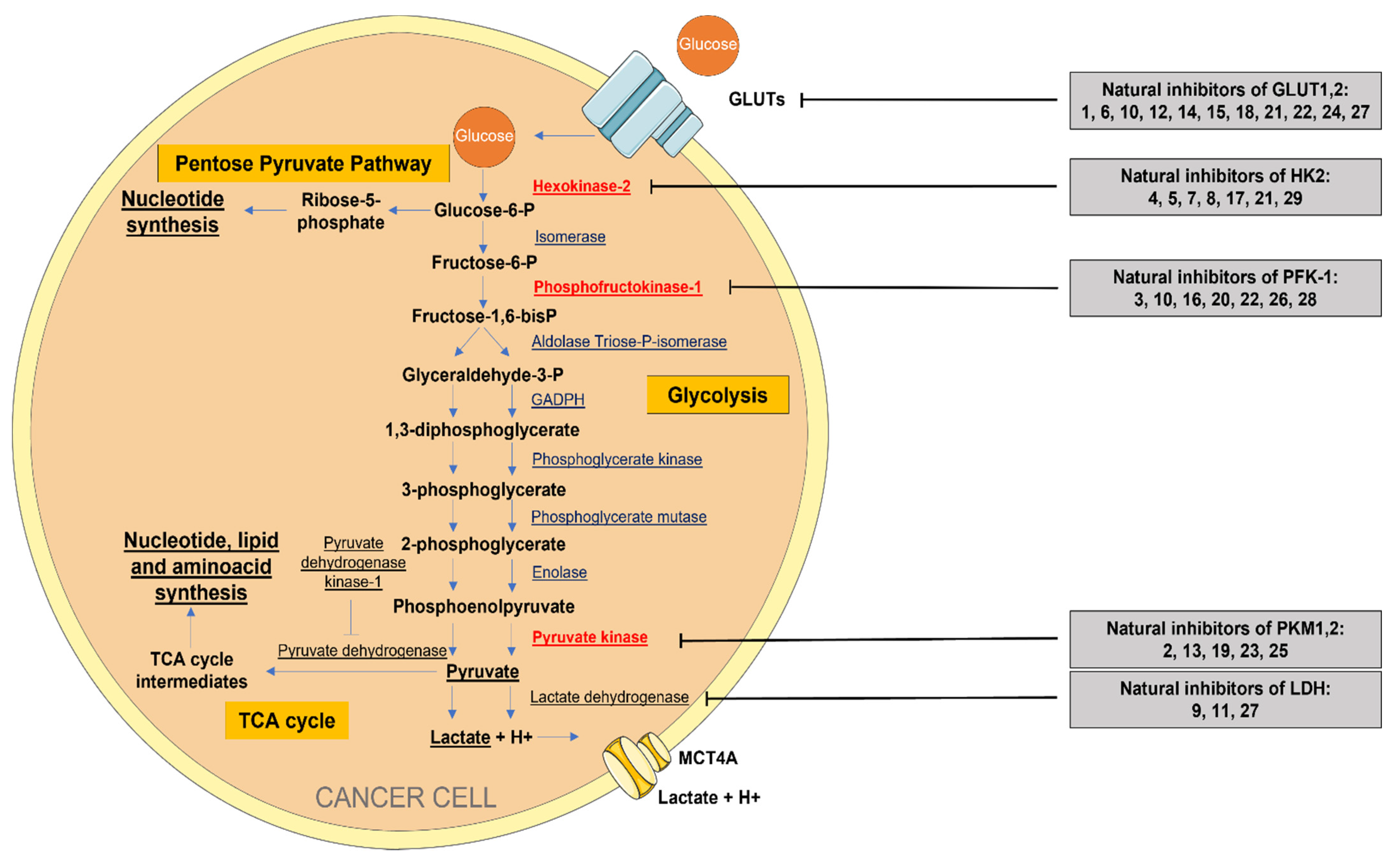 Pharmaceuticals 15 00808 g002