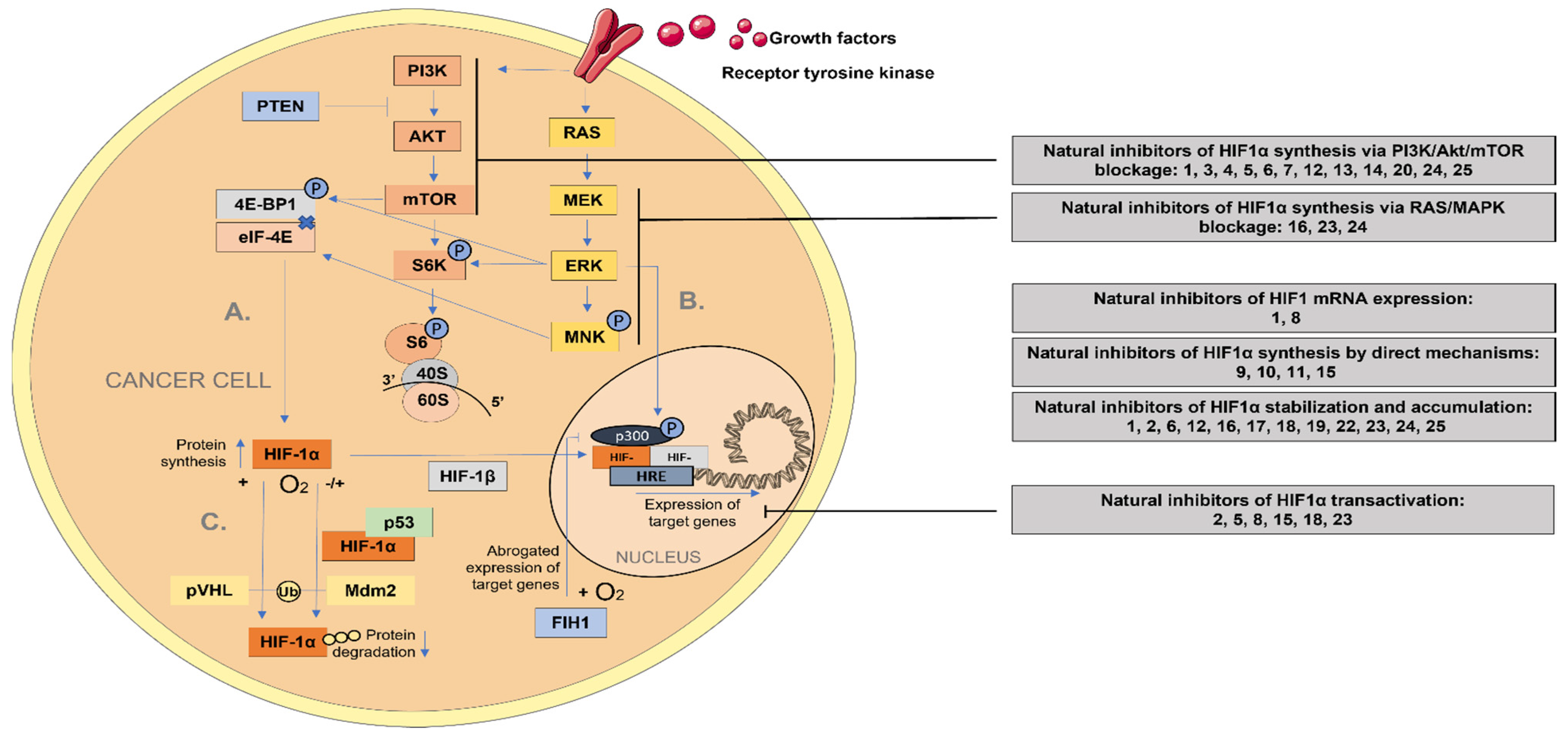 Pharmaceuticals 15 00808 g003