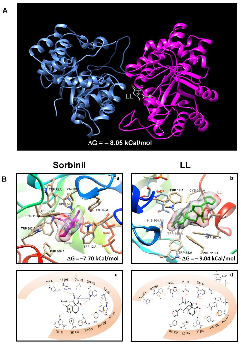 Pharmaceuticals 15 00809 g006