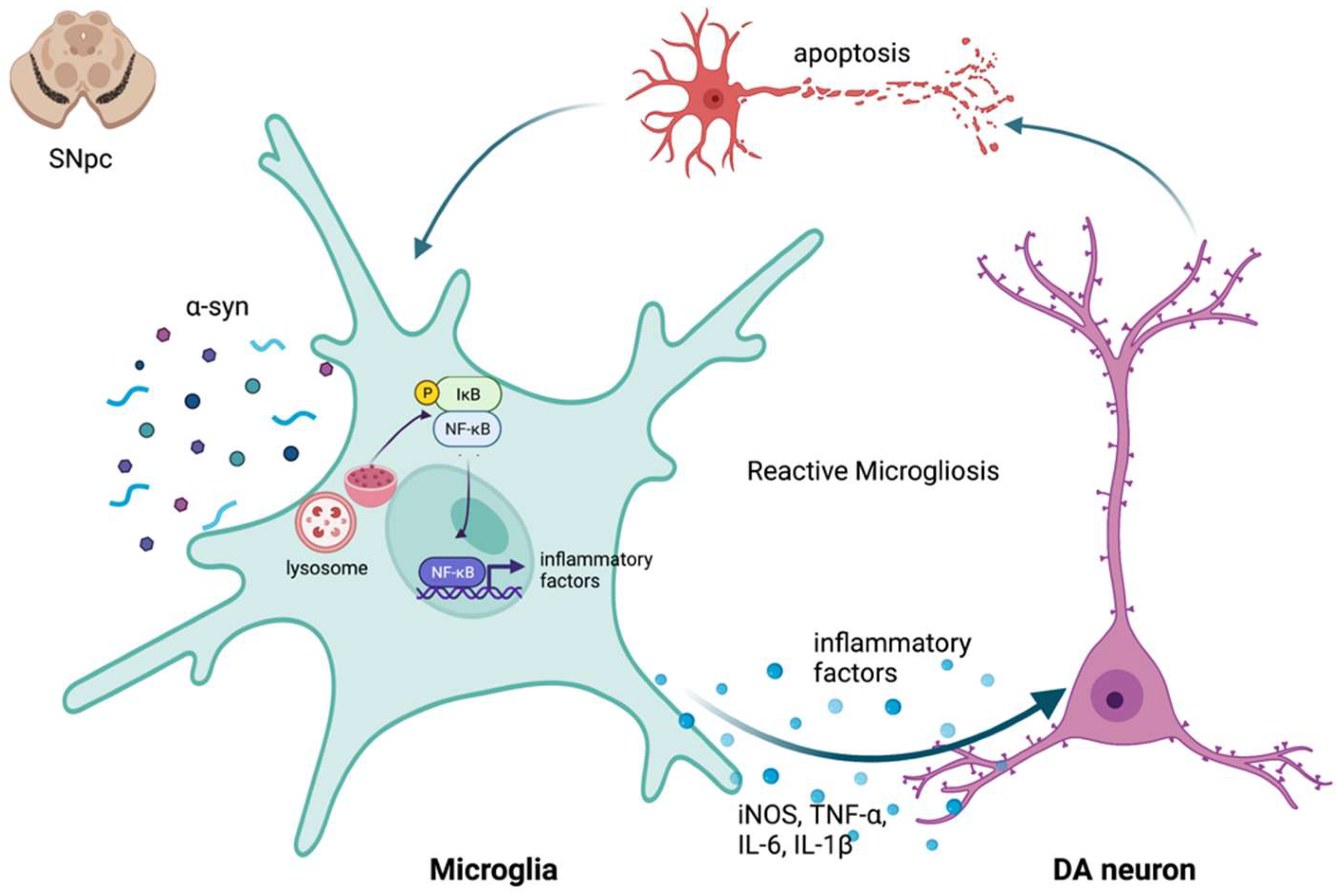 Pharmaceuticals 15 00811 g001