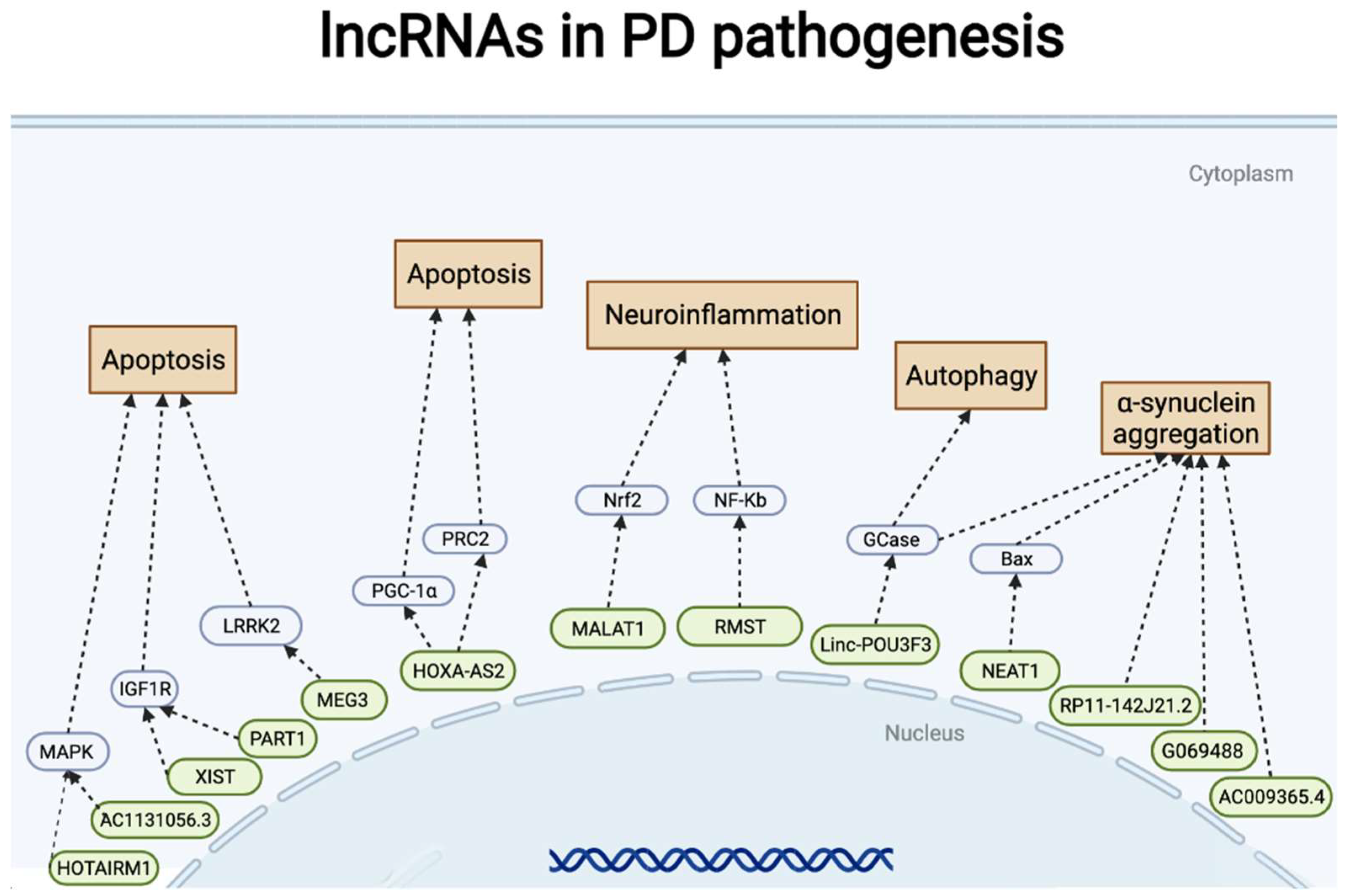 Pharmaceuticals 15 00811 g002