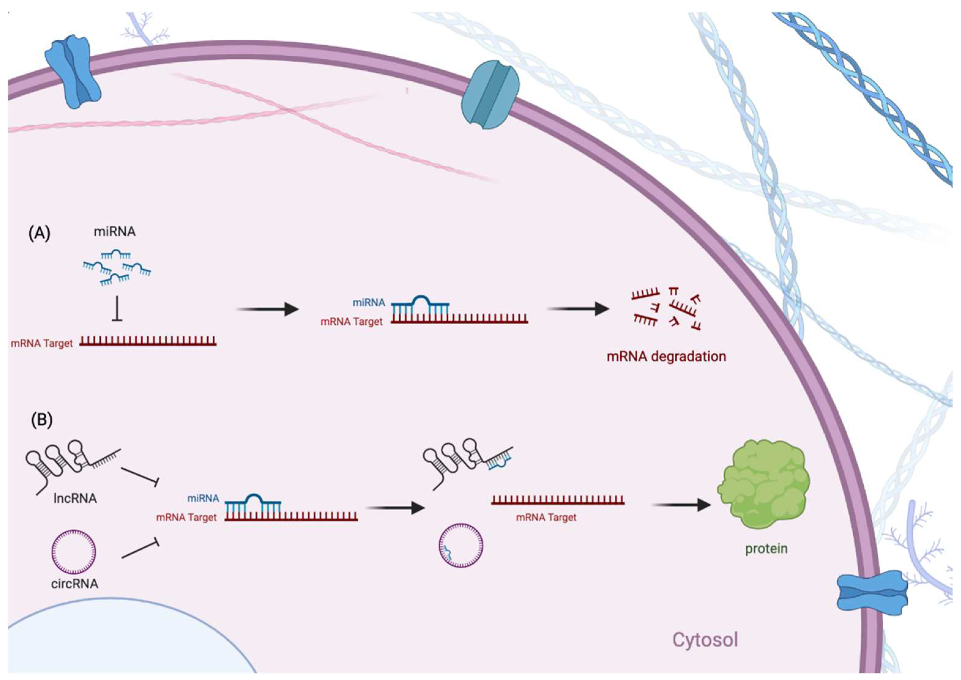 Pharmaceuticals 15 00811 g003