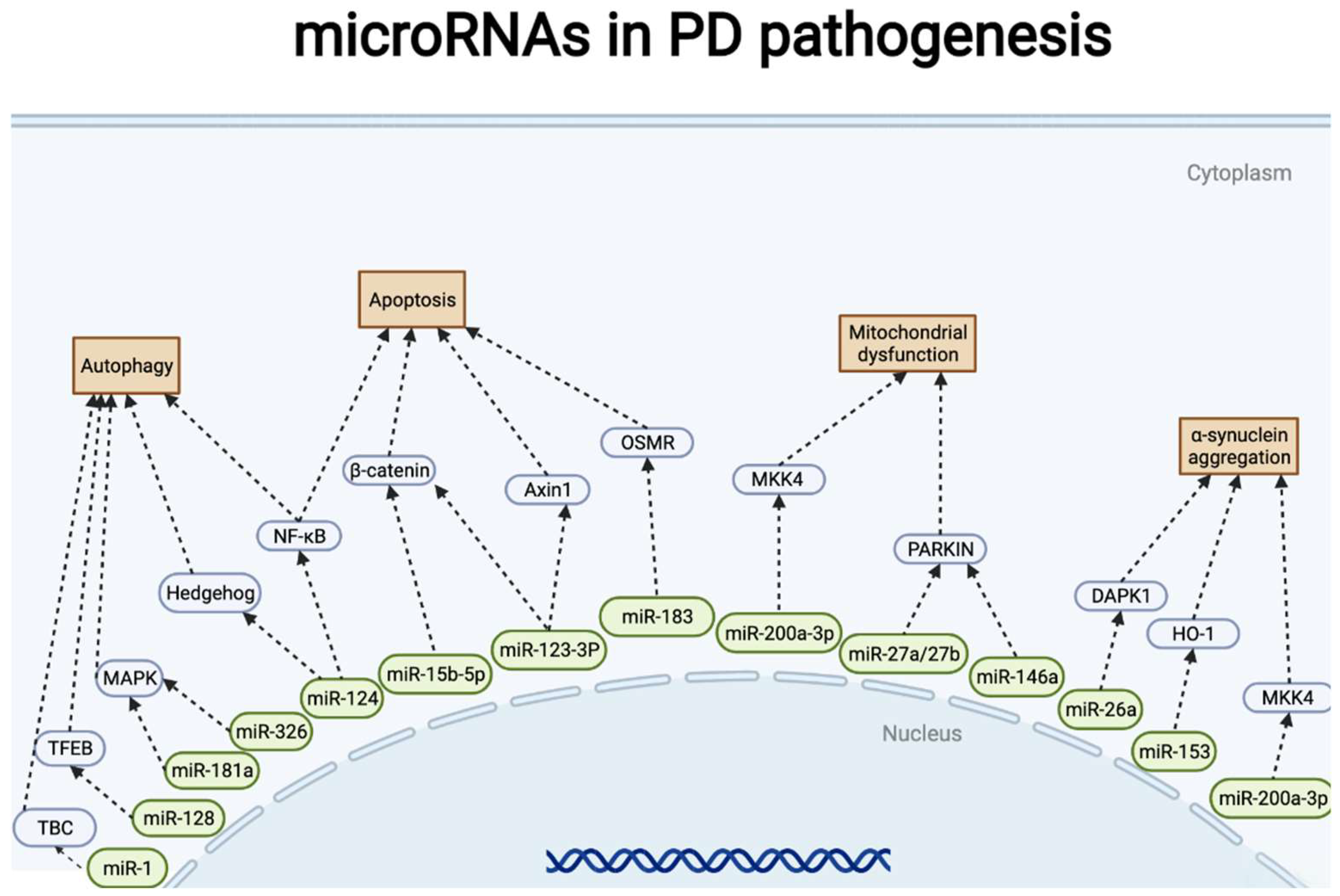 Pharmaceuticals 15 00811 g004