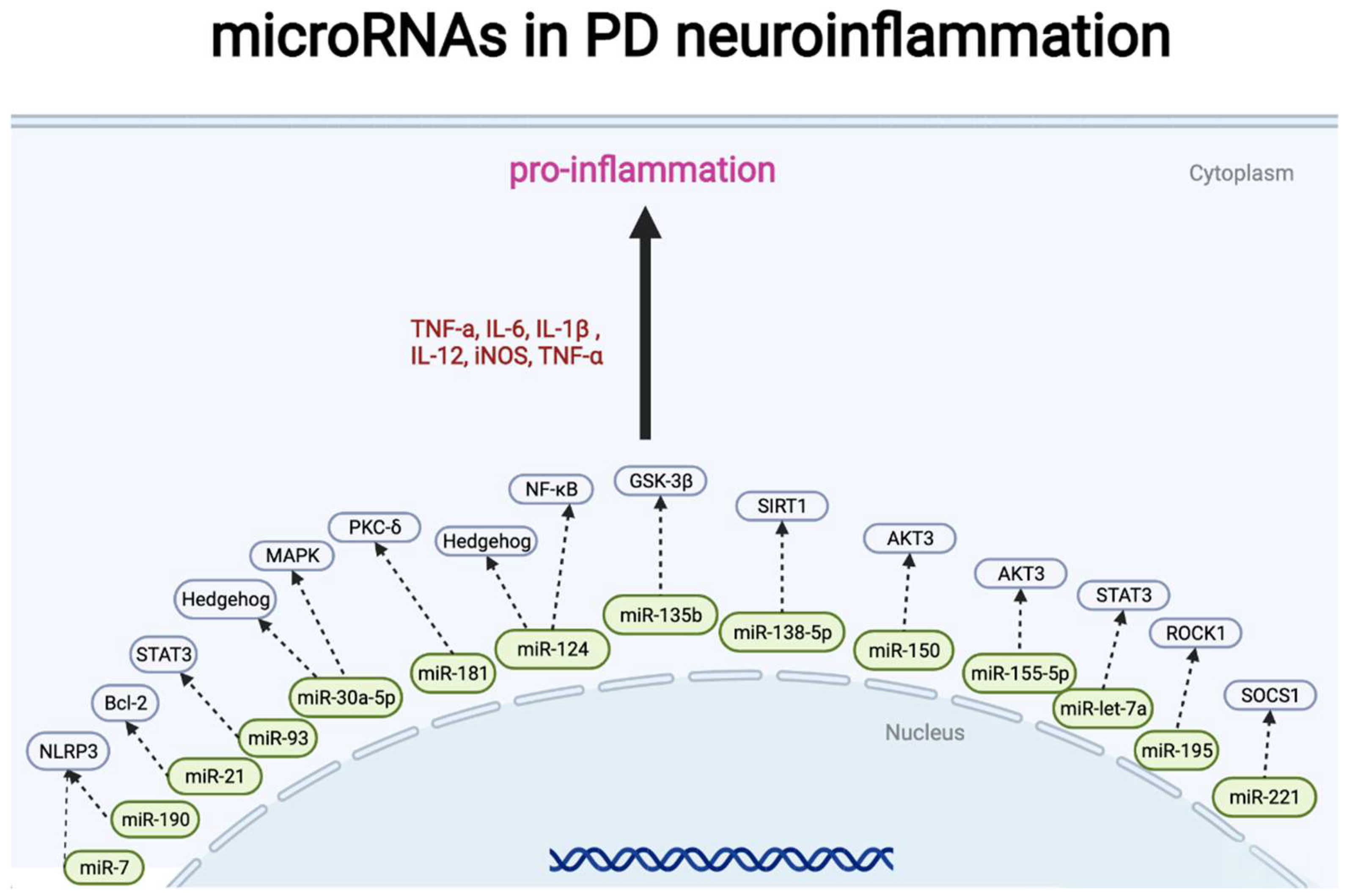 Pharmaceuticals 15 00811 g005