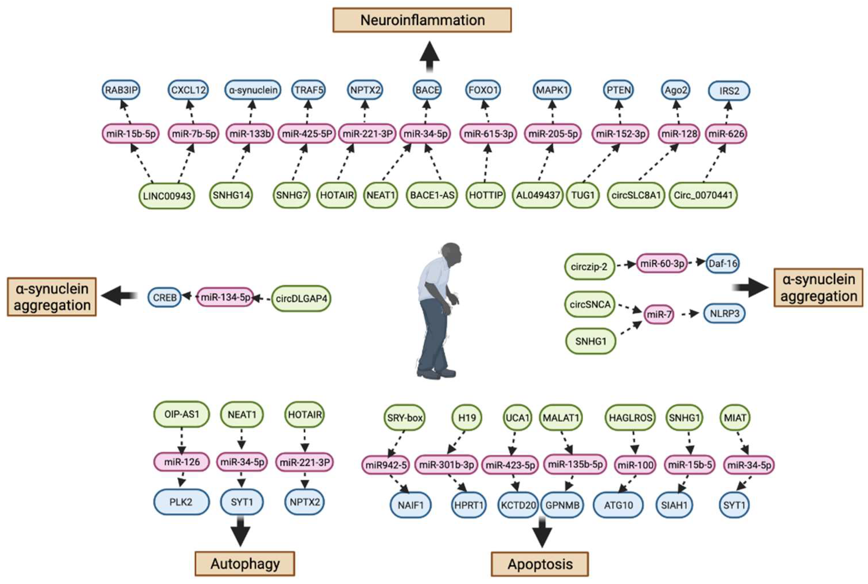 Pharmaceuticals 15 00811 g006