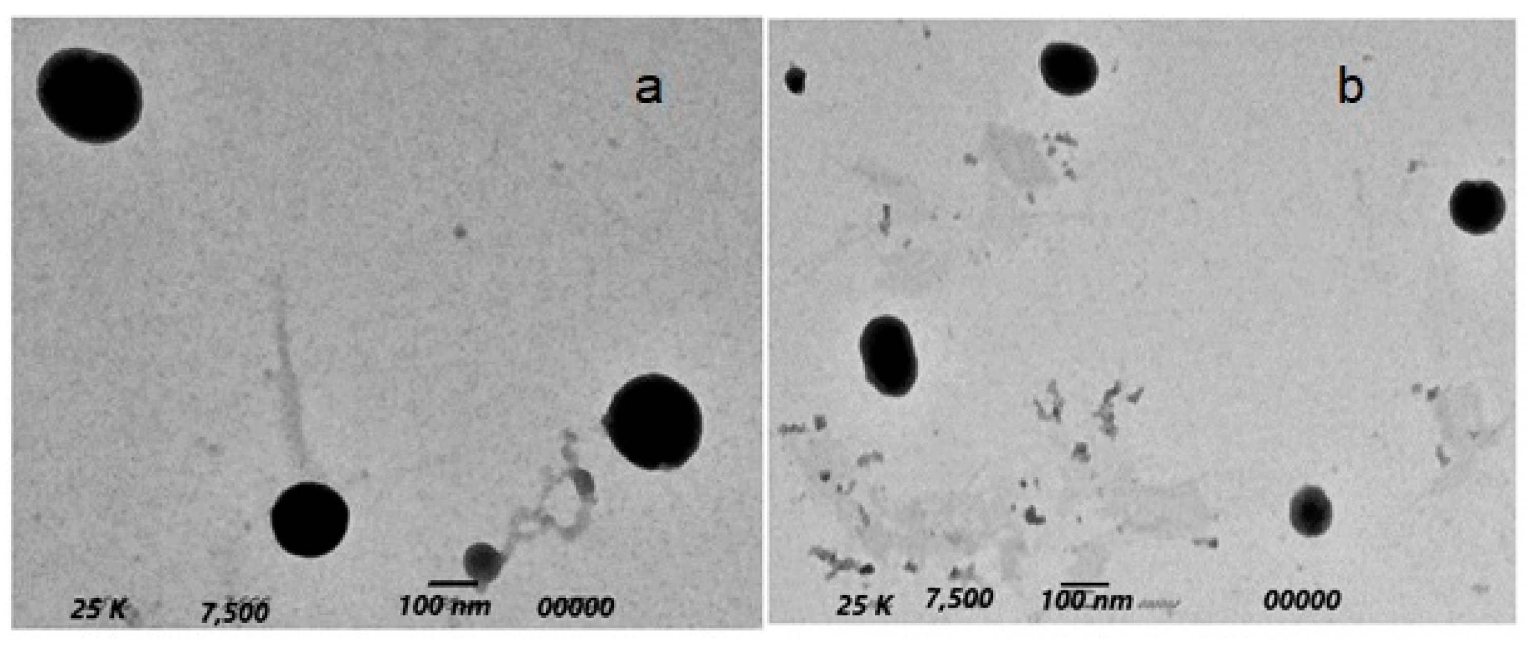 Pharmaceuticals 15 00816 g005