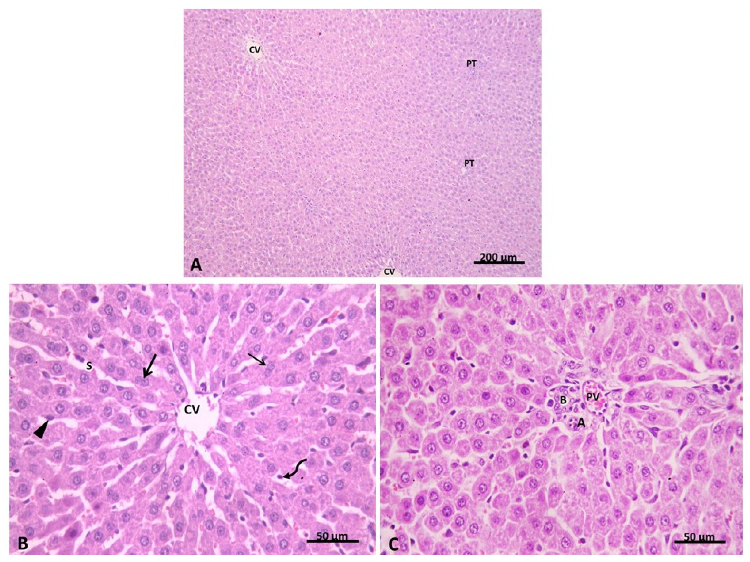 Pharmaceuticals 15 00832 g005 Pharmaceuticals 15 00832 g005