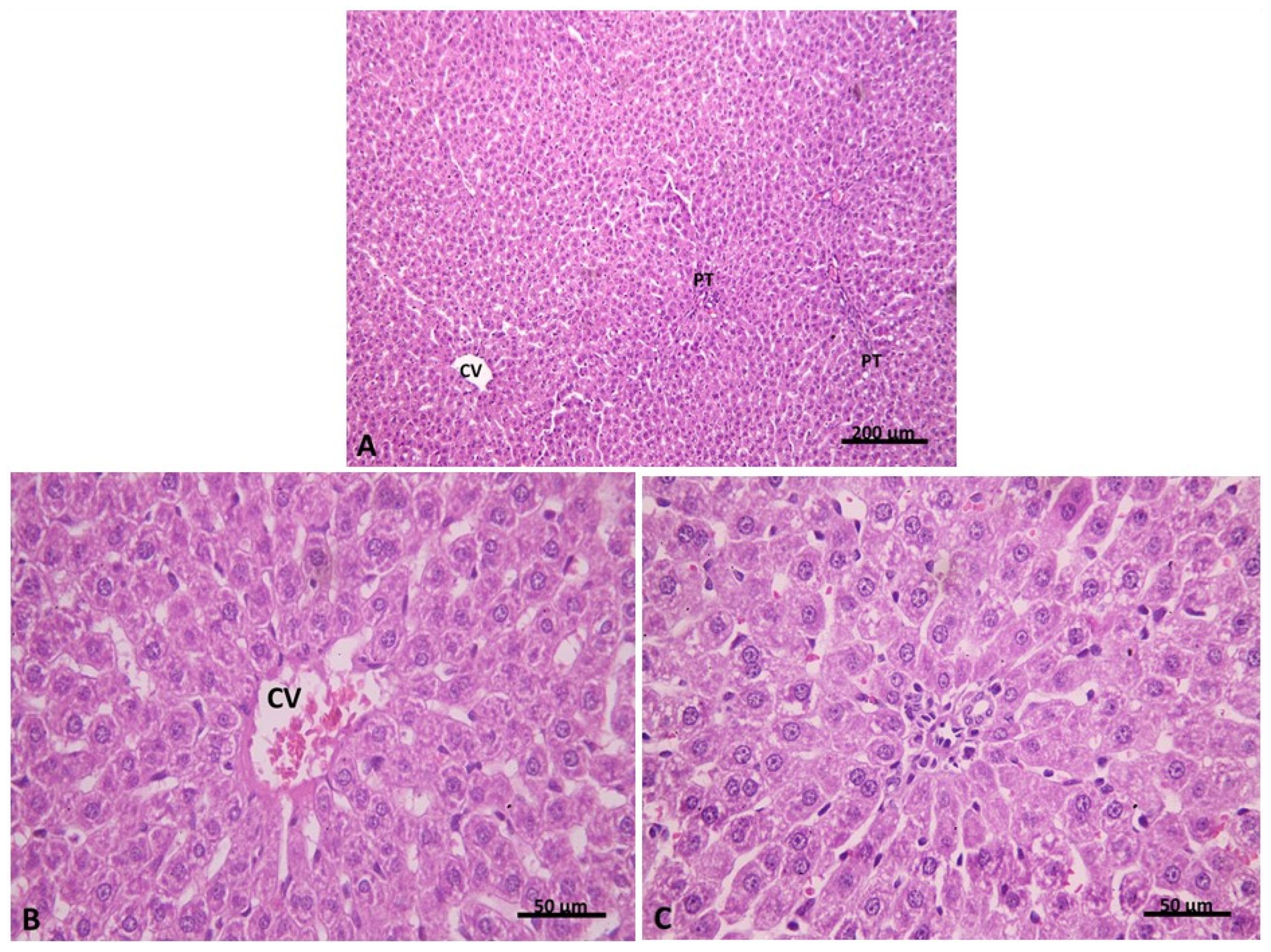 Pharmaceuticals 15 00832 g007 Pharmaceuticals 15 00832 g007