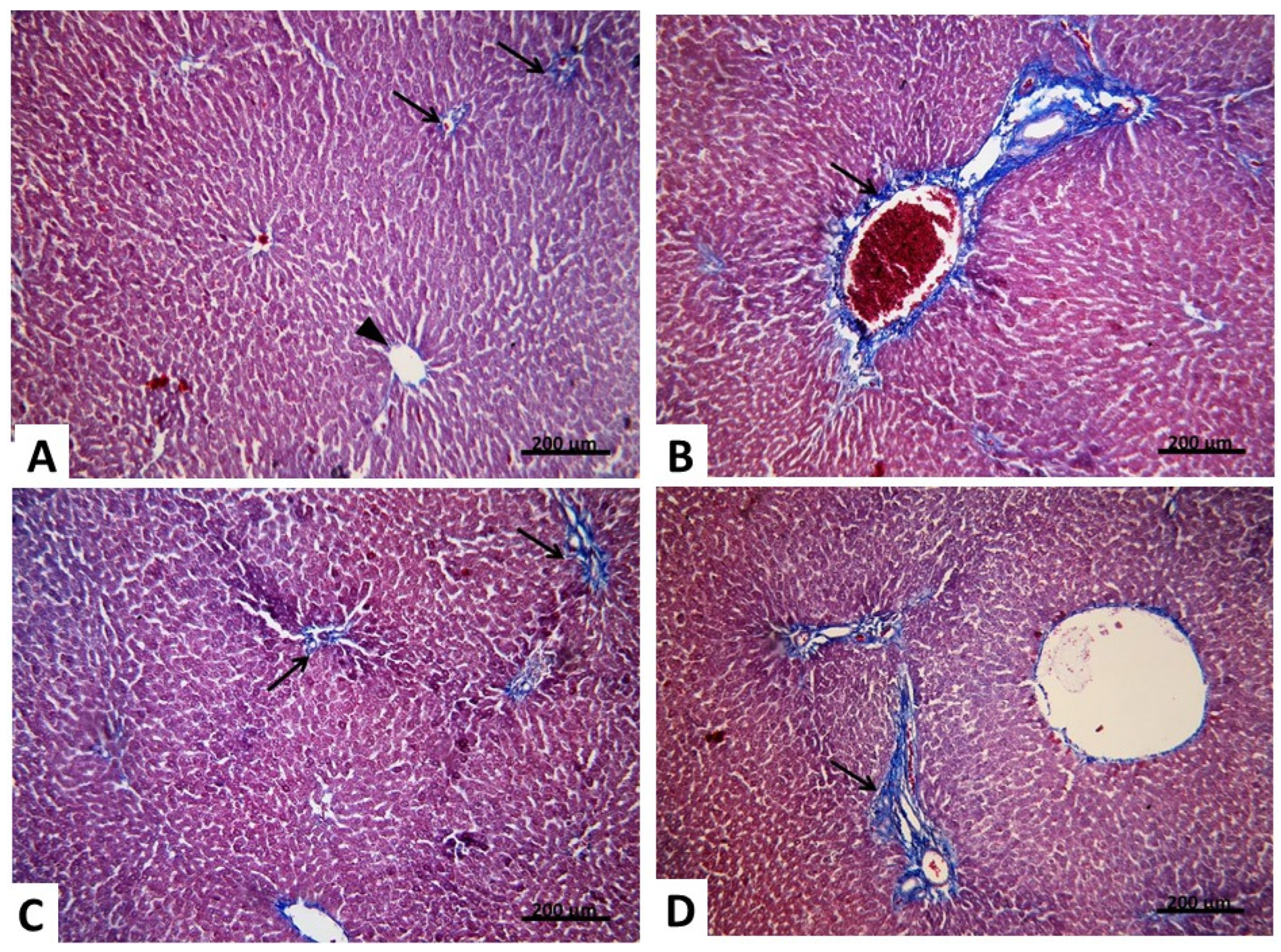 Pharmaceuticals 15 00832 g009 Pharmaceuticals 15 00832 g009