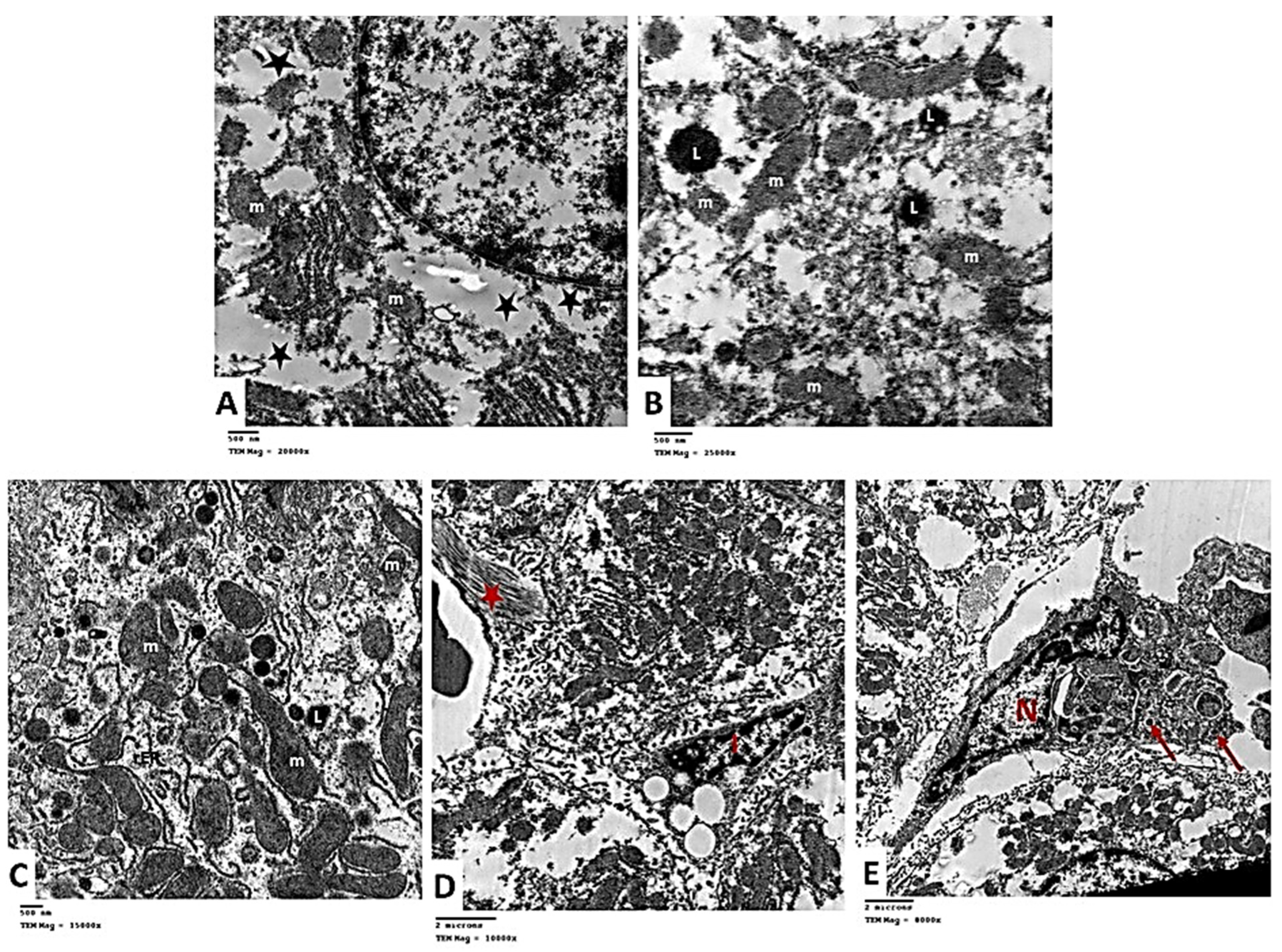 Pharmaceuticals 15 00832 g012 Pharmaceuticals 15 00832 g012