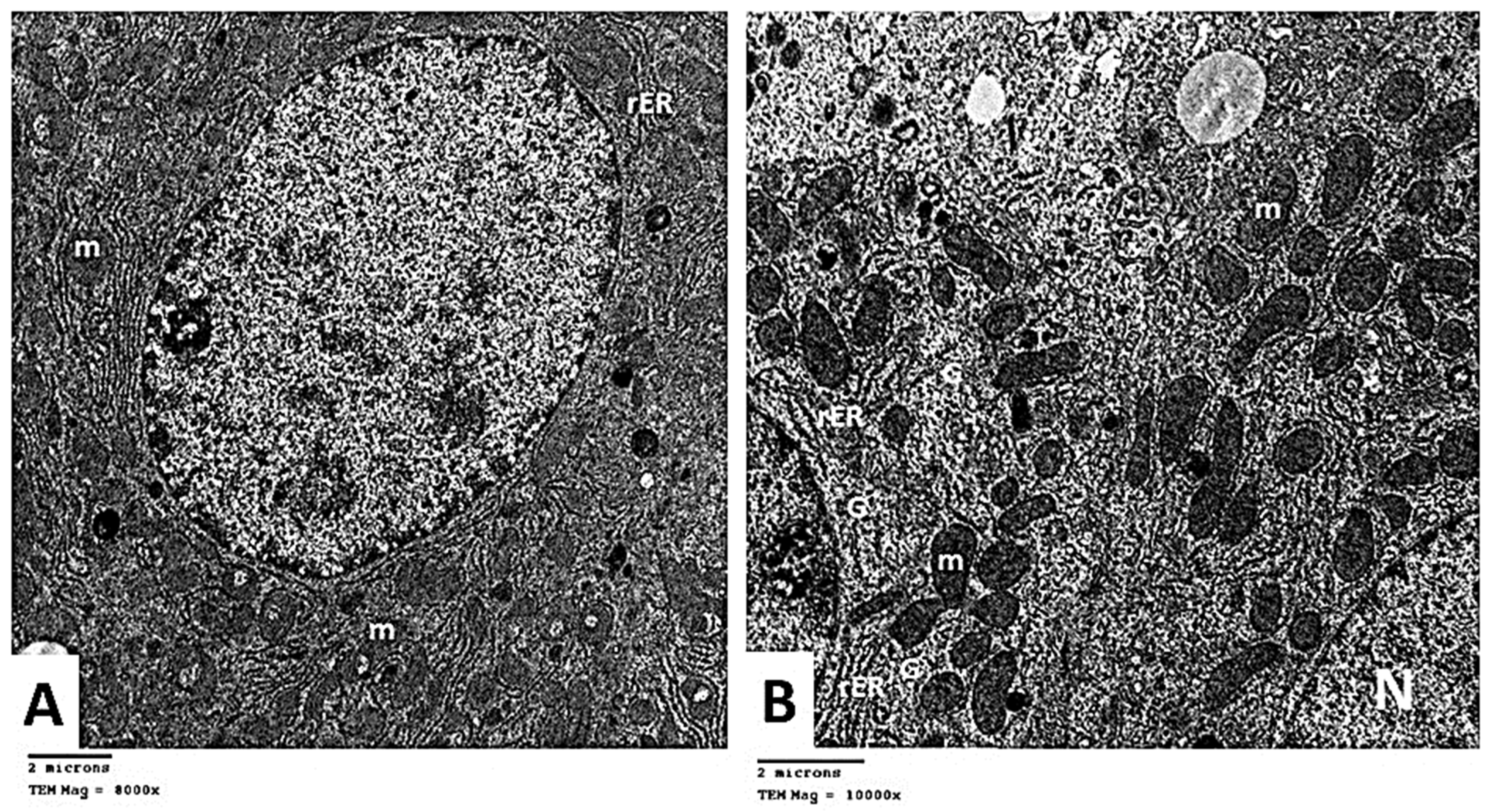 Pharmaceuticals 15 00832 g013 Pharmaceuticals 15 00832 g013