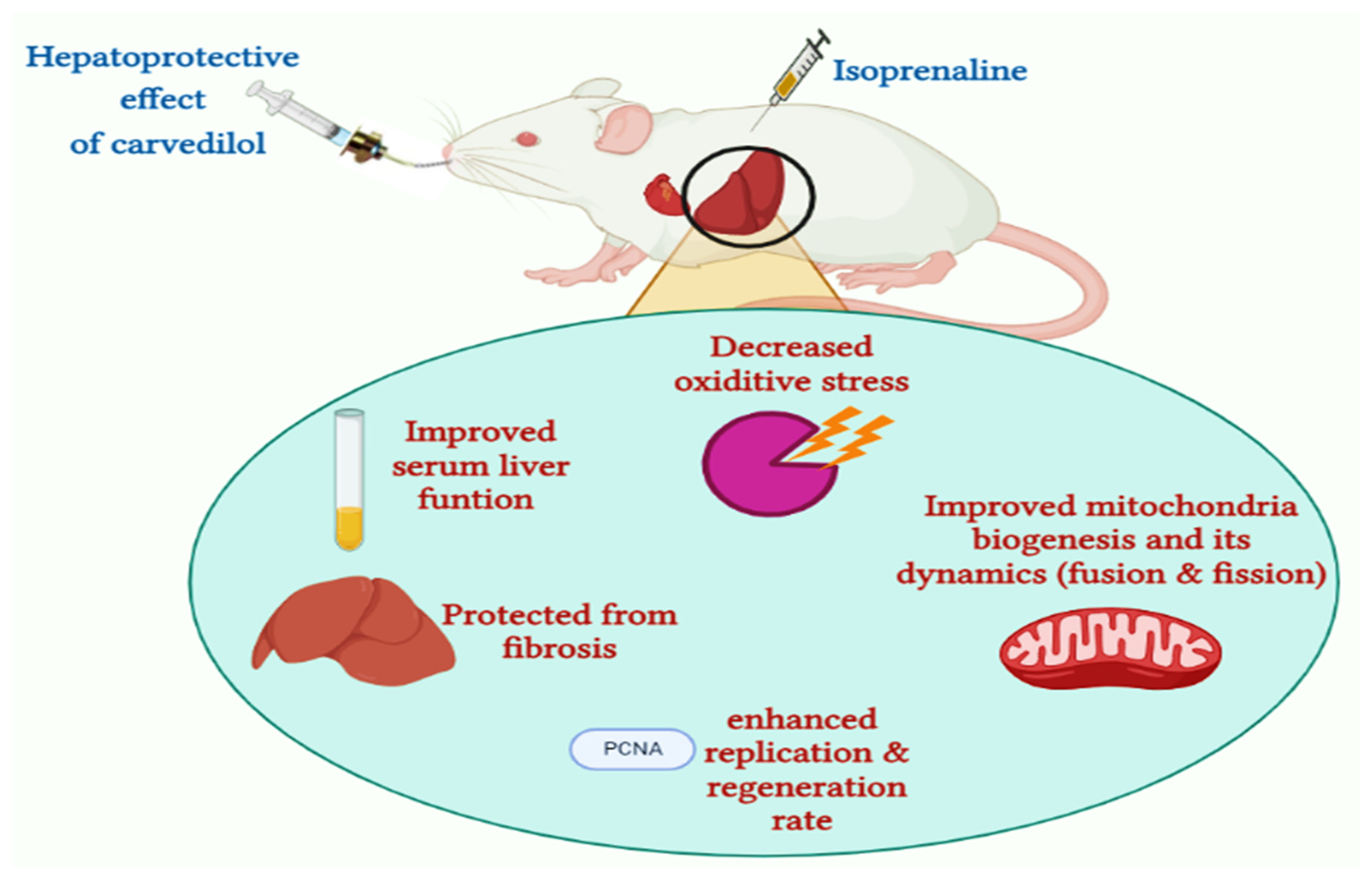 Pharmaceuticals 15 00832 g015 Pharmaceuticals 15 00832 g015