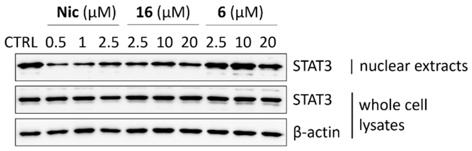 Pharmaceuticals 15 00835 g006