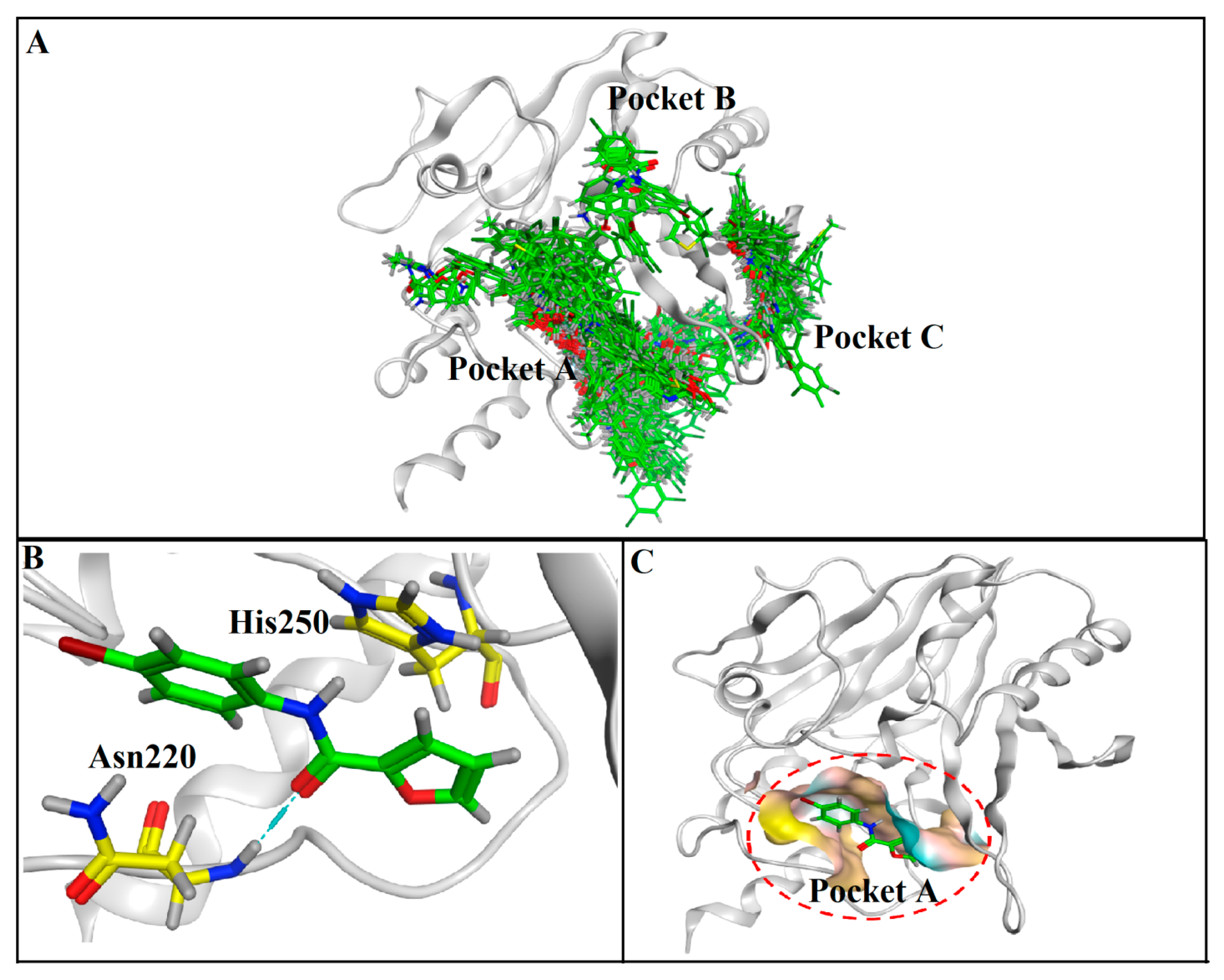 Pharmaceuticals 15 00841 g003