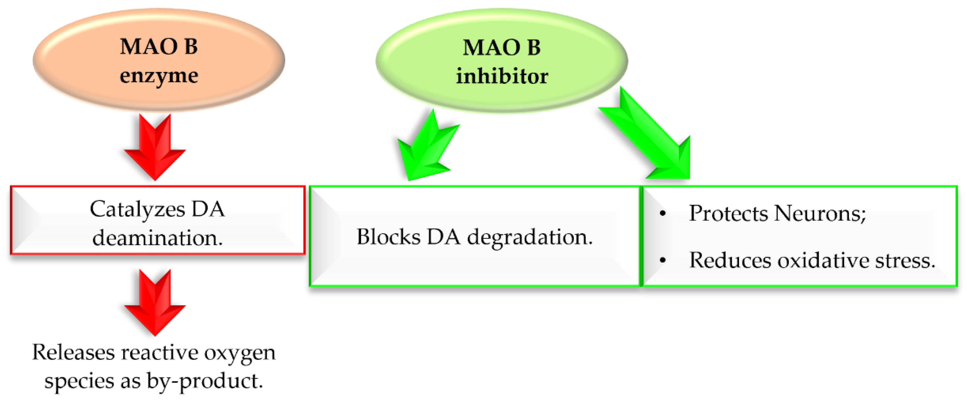 Pharmaceuticals 15 00847 g006