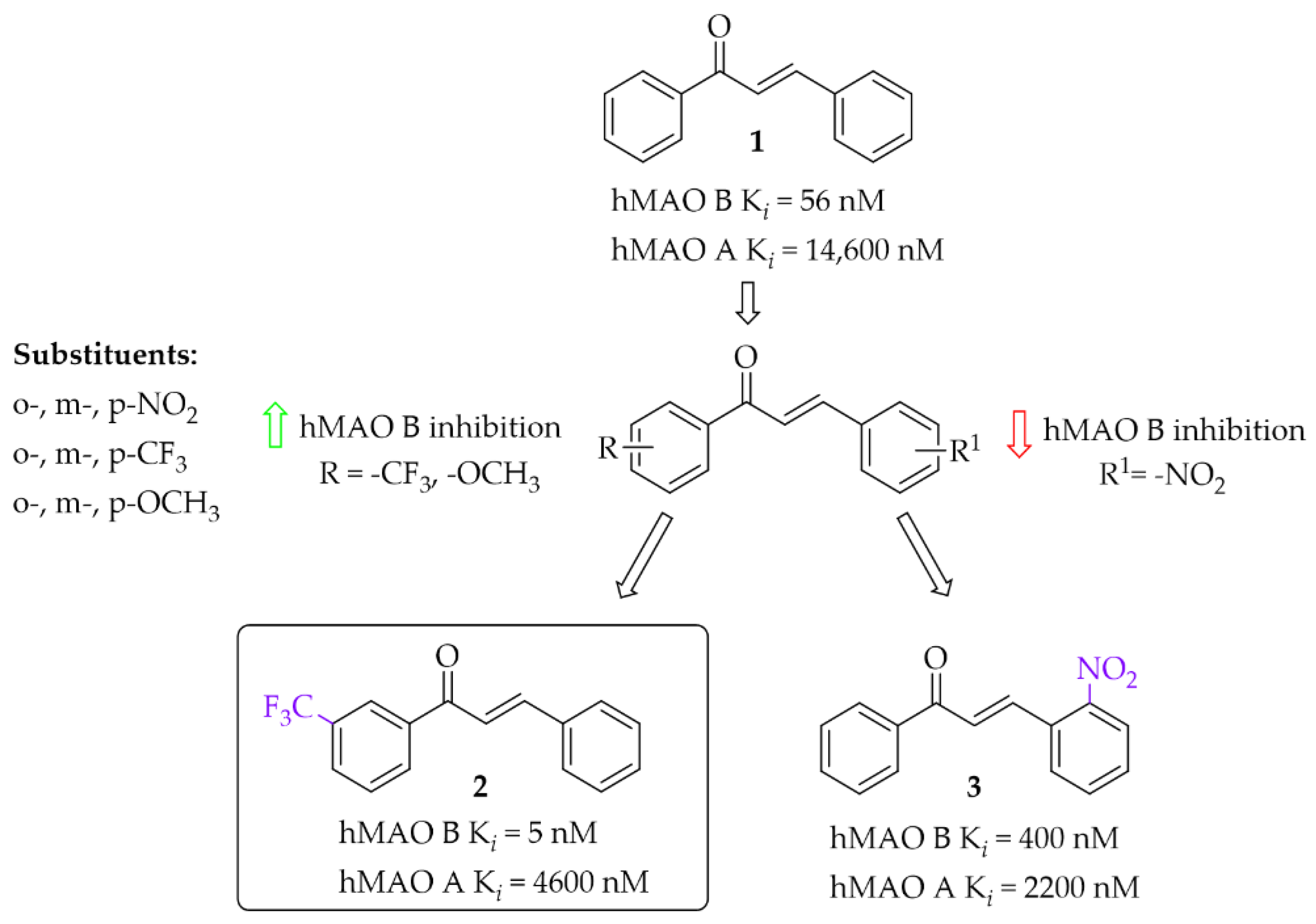 Pharmaceuticals 15 00847 g007