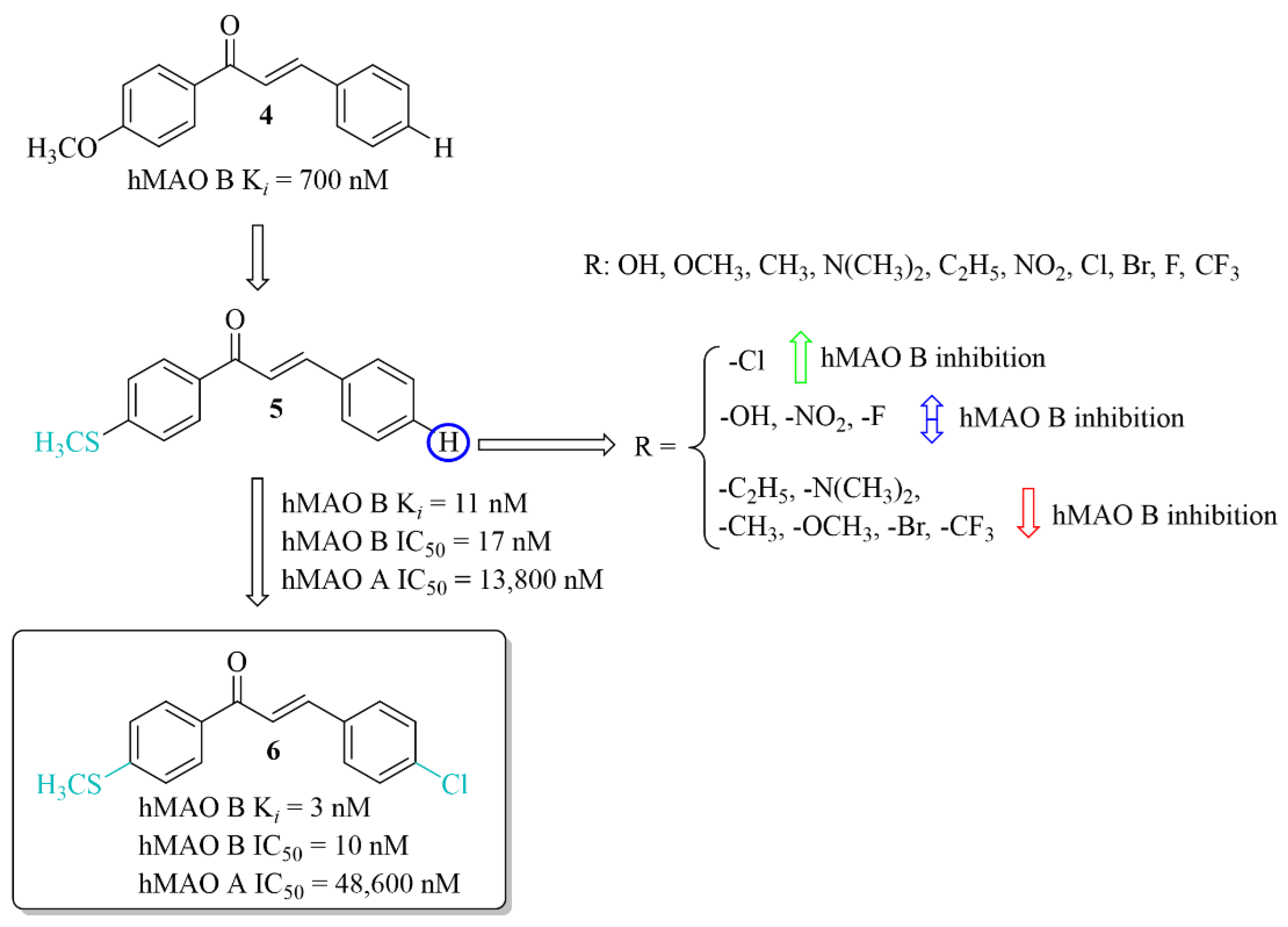 Pharmaceuticals 15 00847 g008