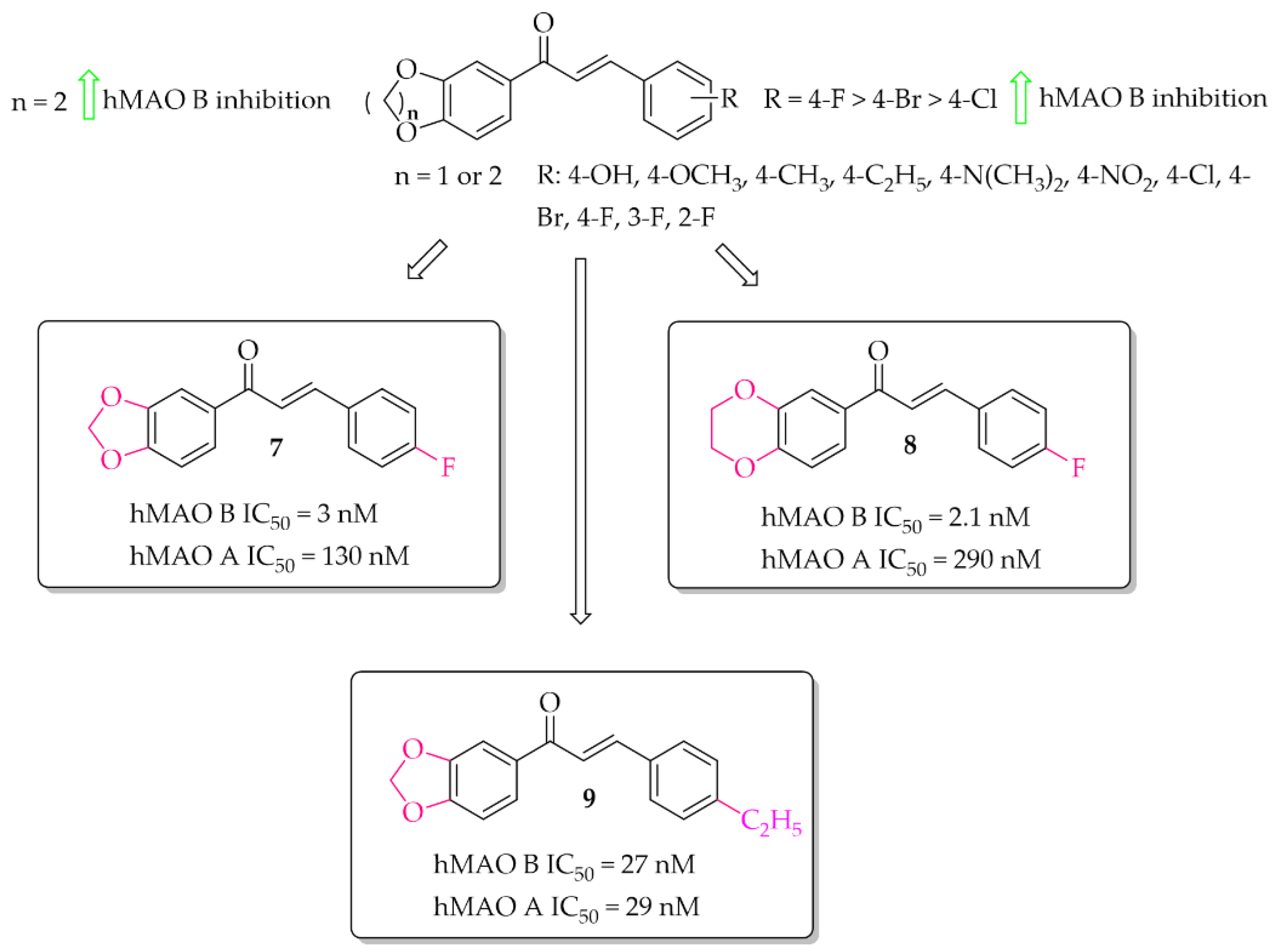Pharmaceuticals 15 00847 g009