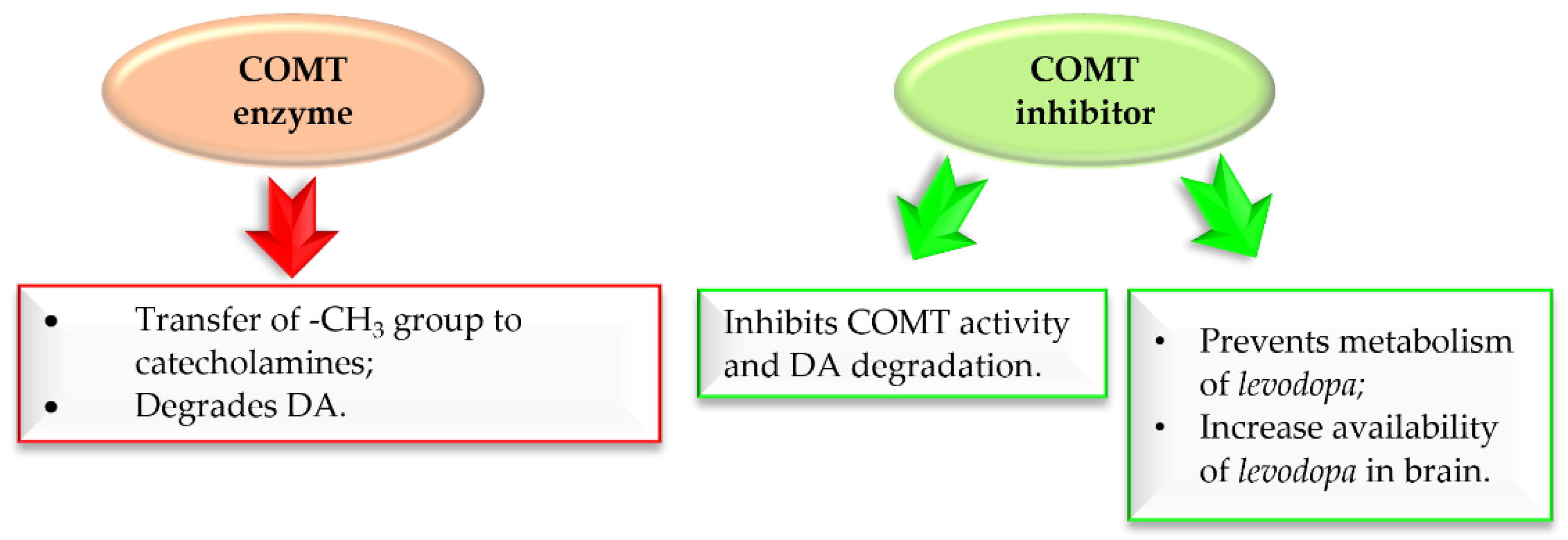 Pharmaceuticals 15 00847 g013
