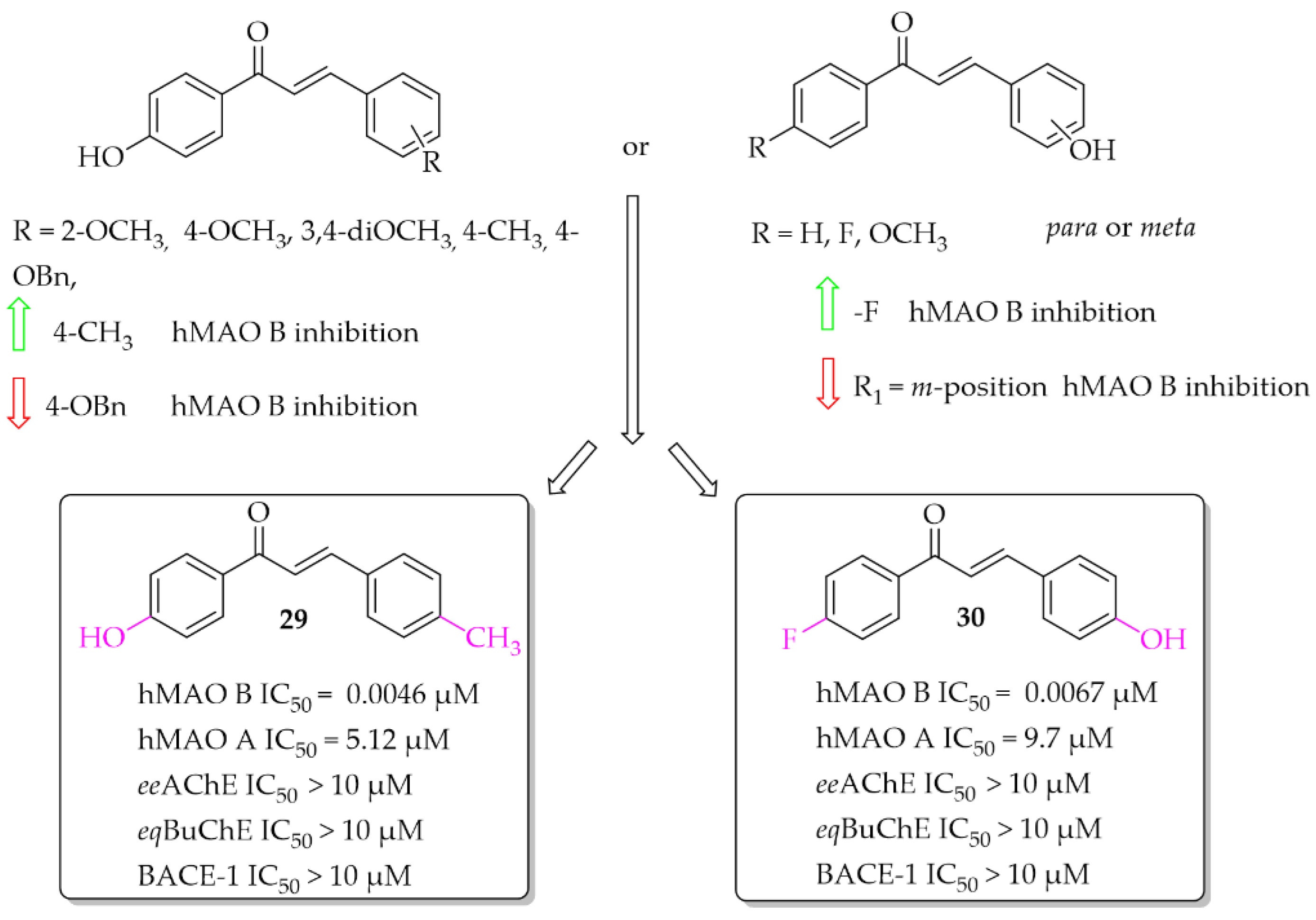 Pharmaceuticals 15 00847 g021
