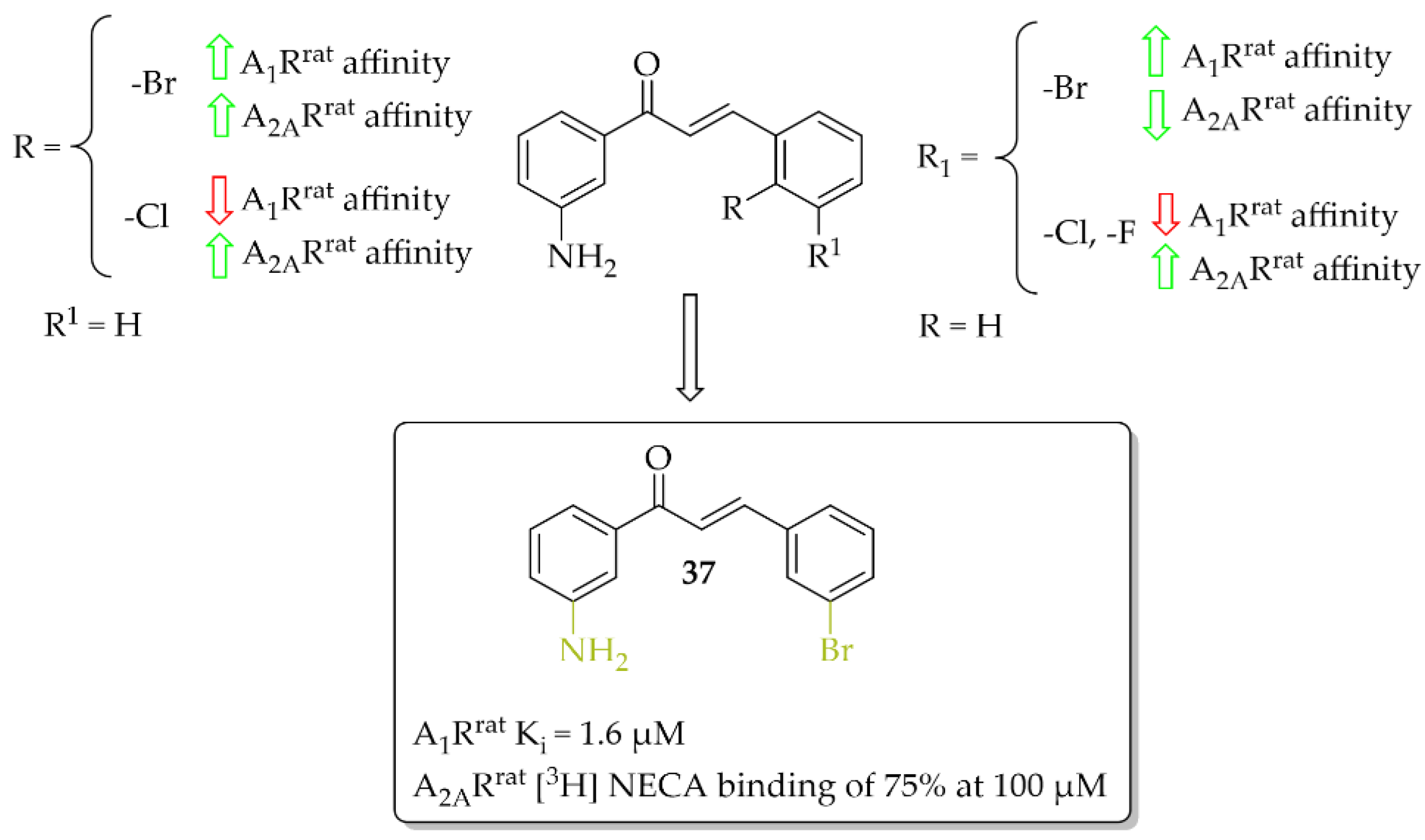 Pharmaceuticals 15 00847 g028