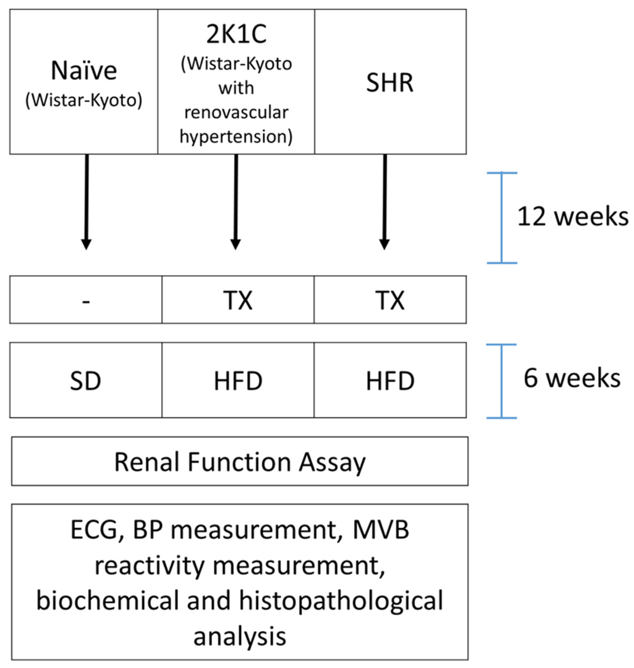 Pharmaceuticals 15 00853 g004