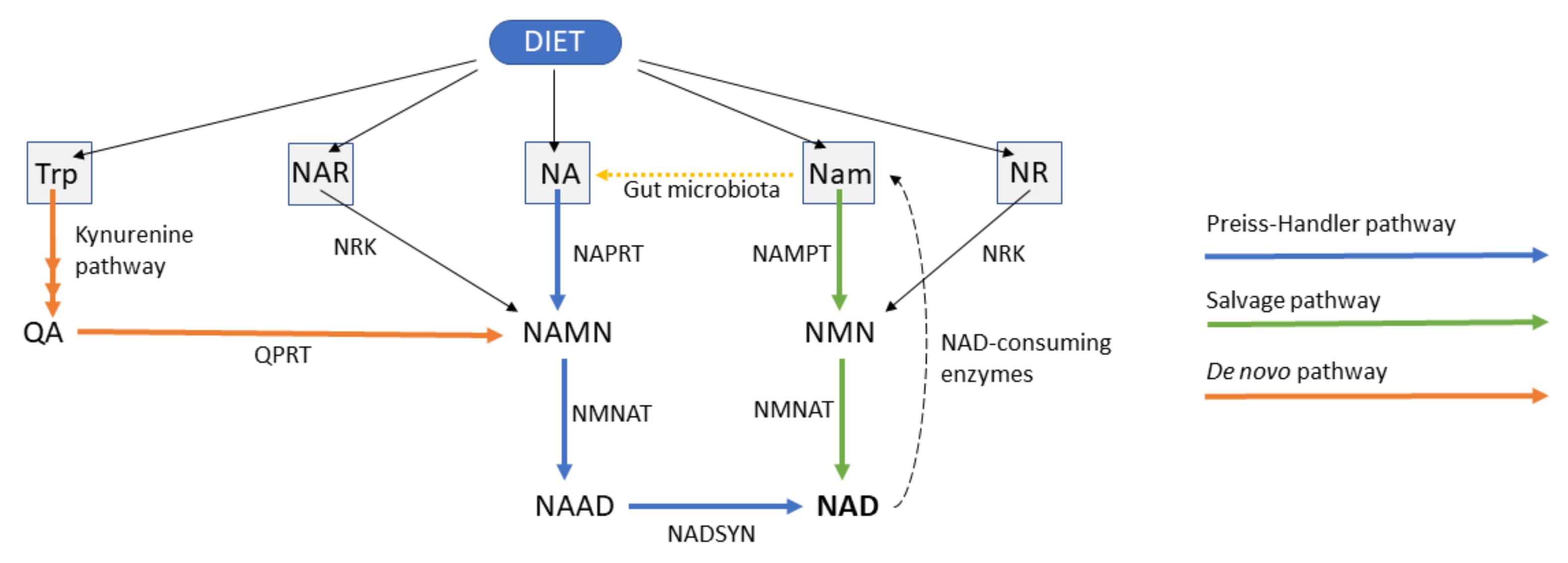 Pharmaceuticals 15 00855 g001