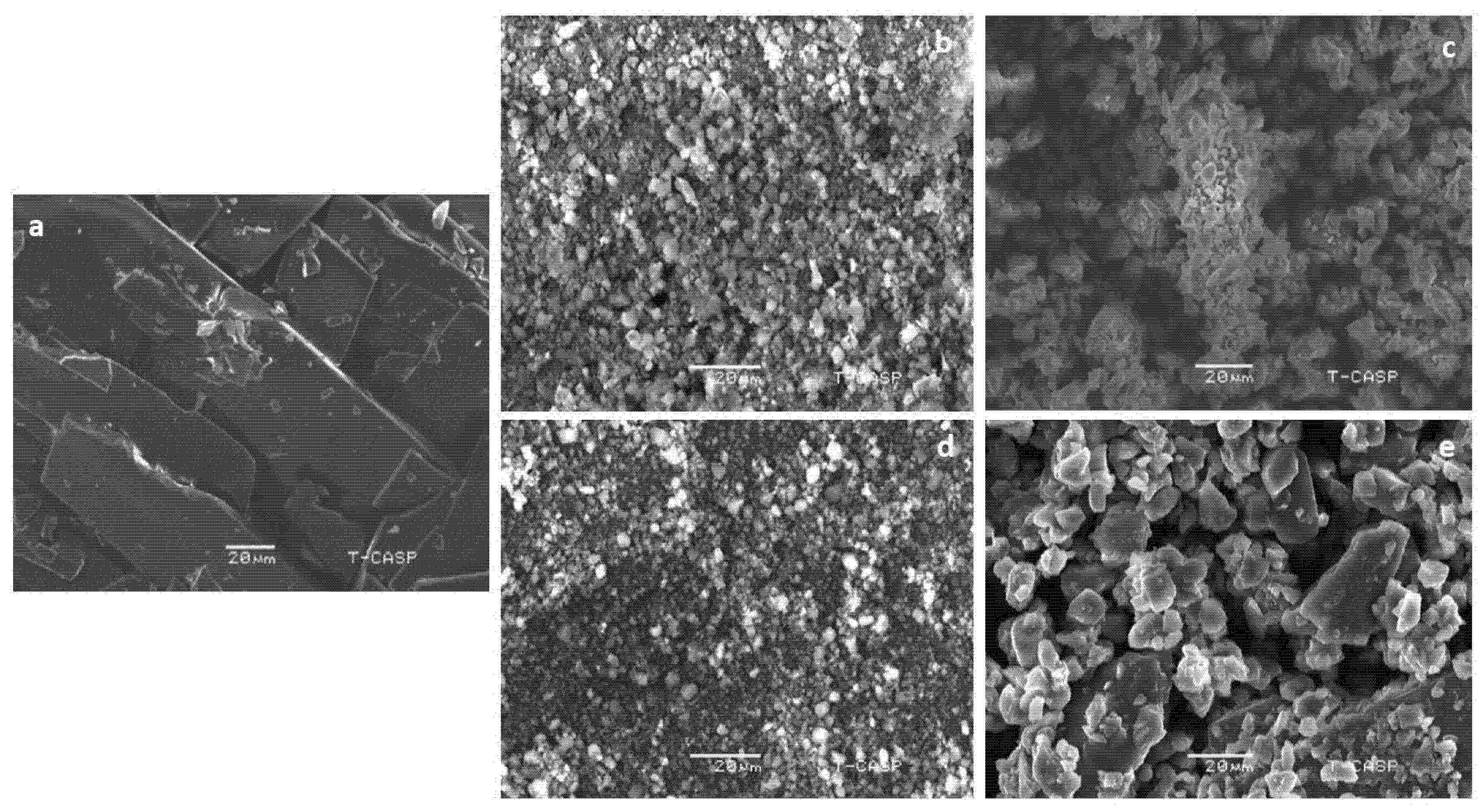 Pharmaceuticals 15 00856 g004