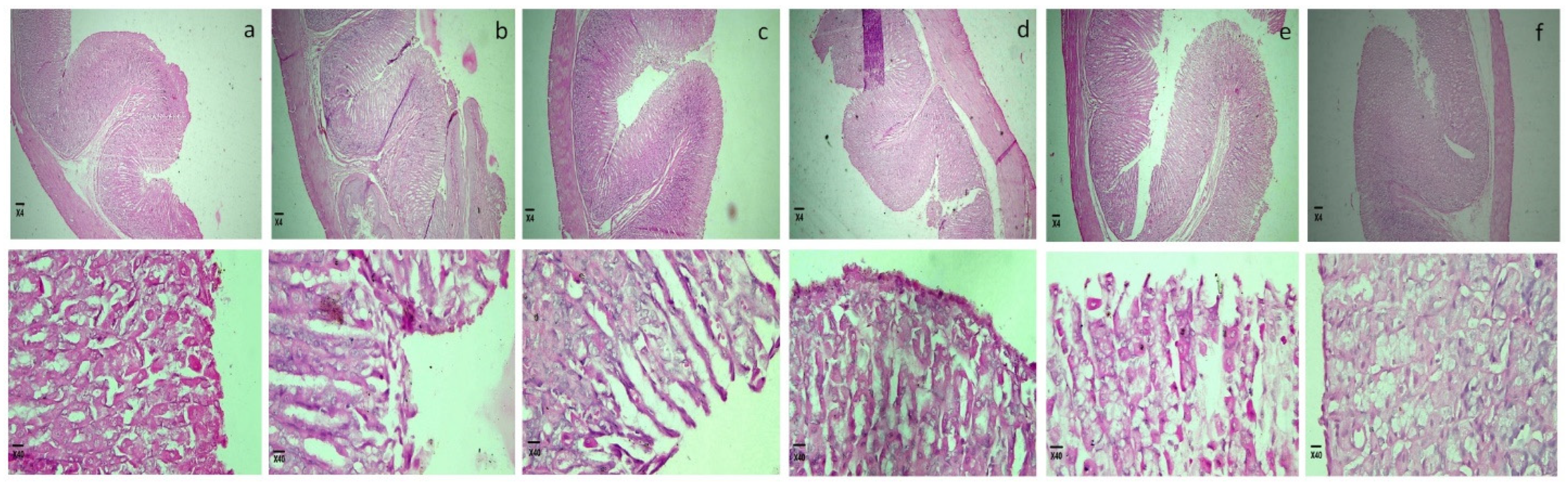 Pharmaceuticals 15 00856 g009