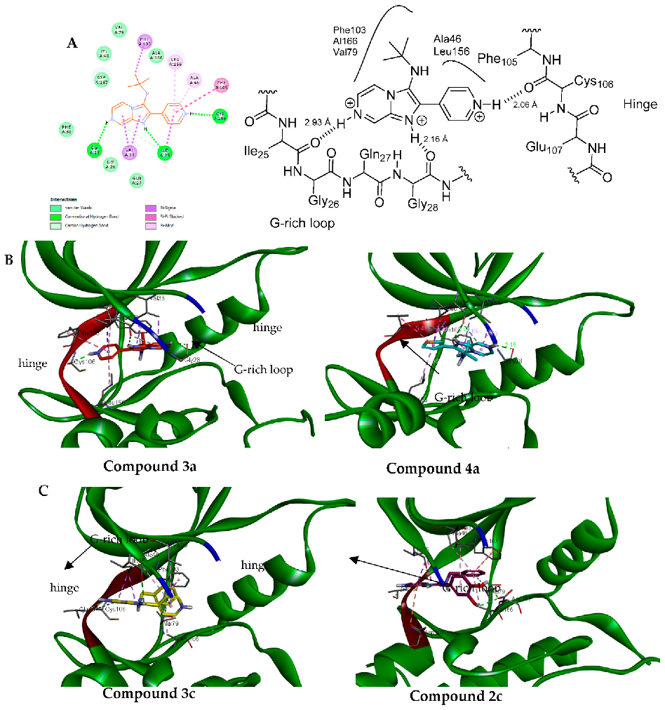 Pharmaceuticals 15 00859 g005