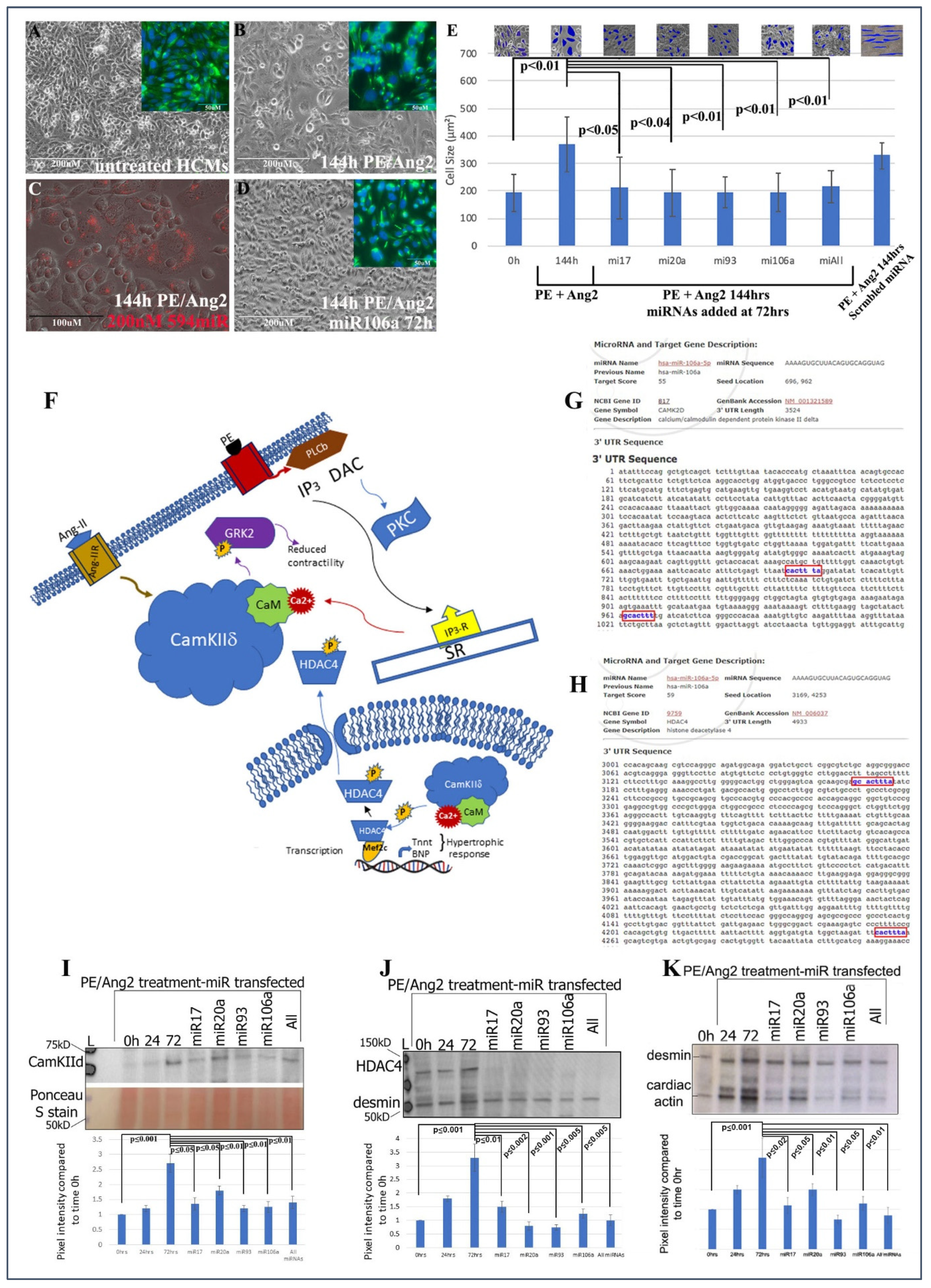 Pharmaceuticals 15 00871 g001