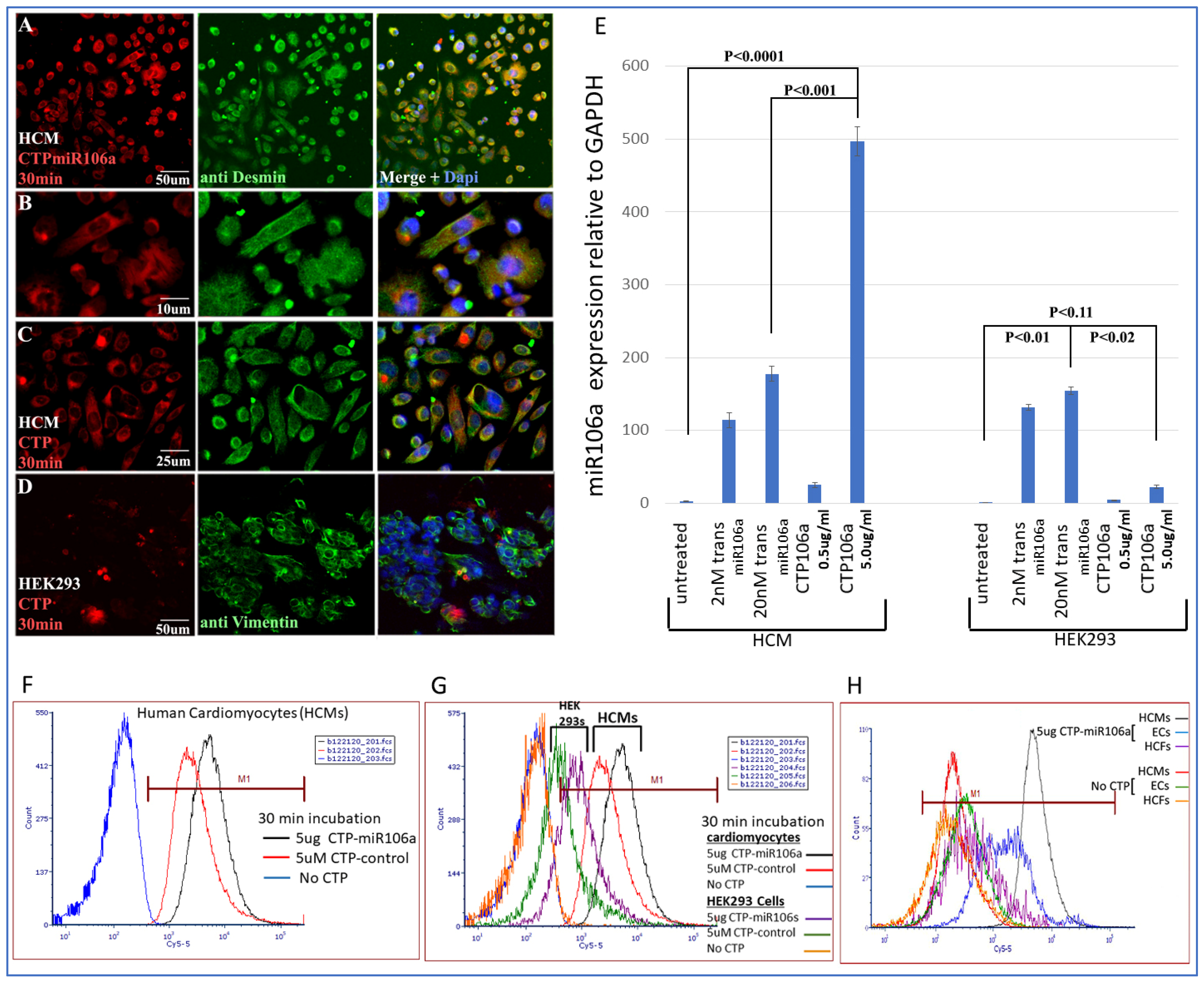 Pharmaceuticals 15 00871 g003