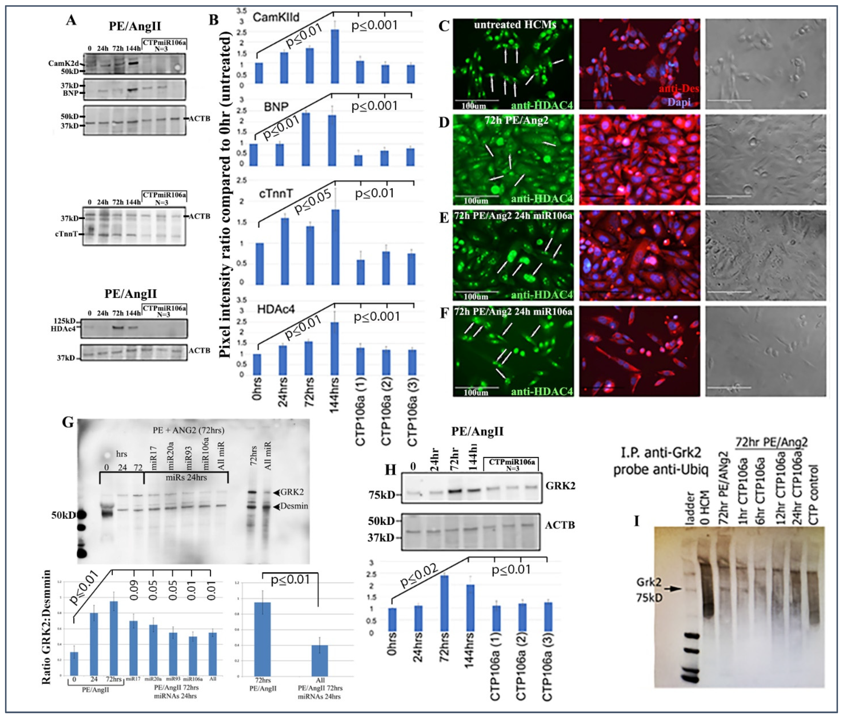 Pharmaceuticals 15 00871 g004
