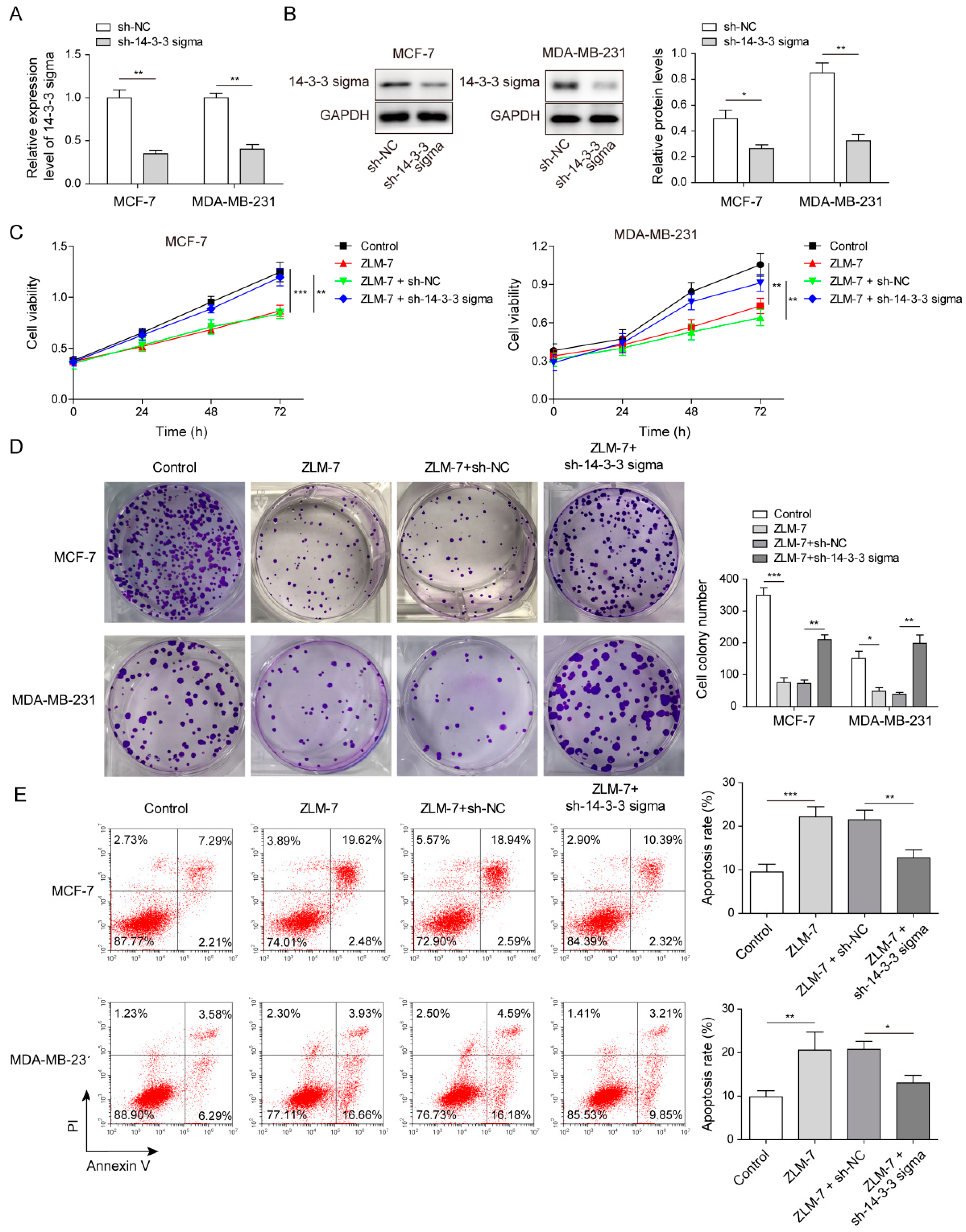 Pharmaceuticals 15 00874 g002