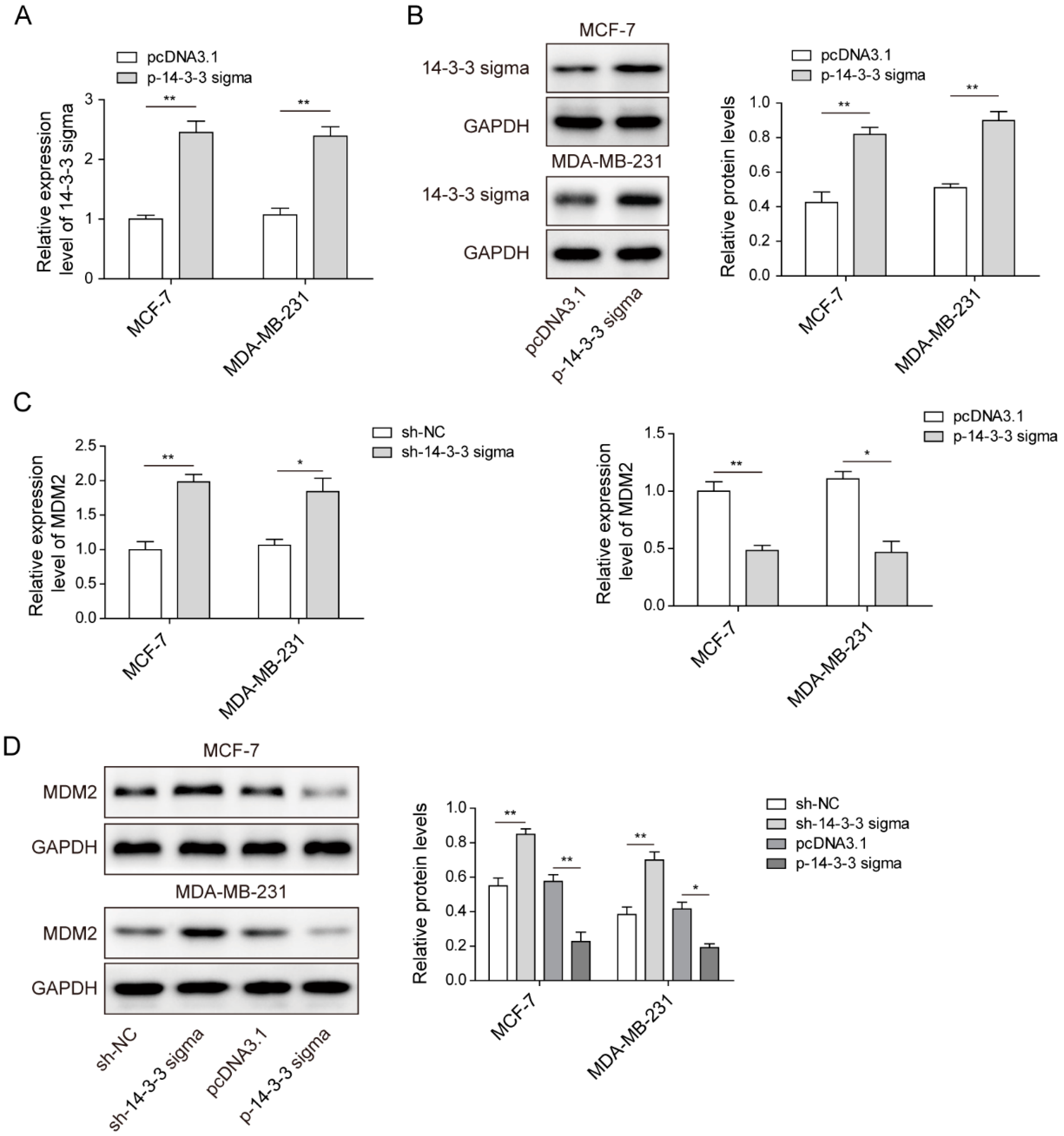 Pharmaceuticals 15 00874 g004
