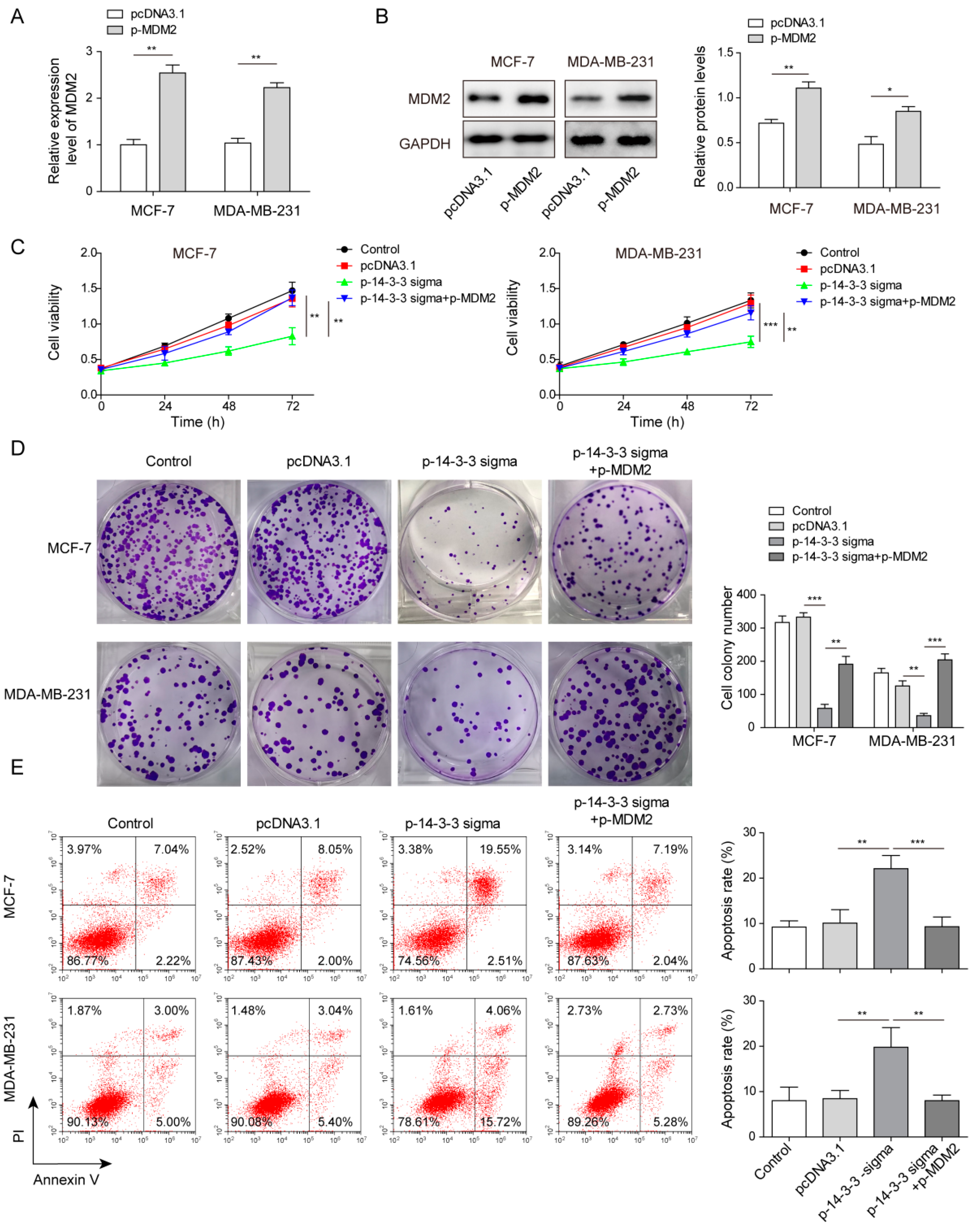 Pharmaceuticals 15 00874 g005