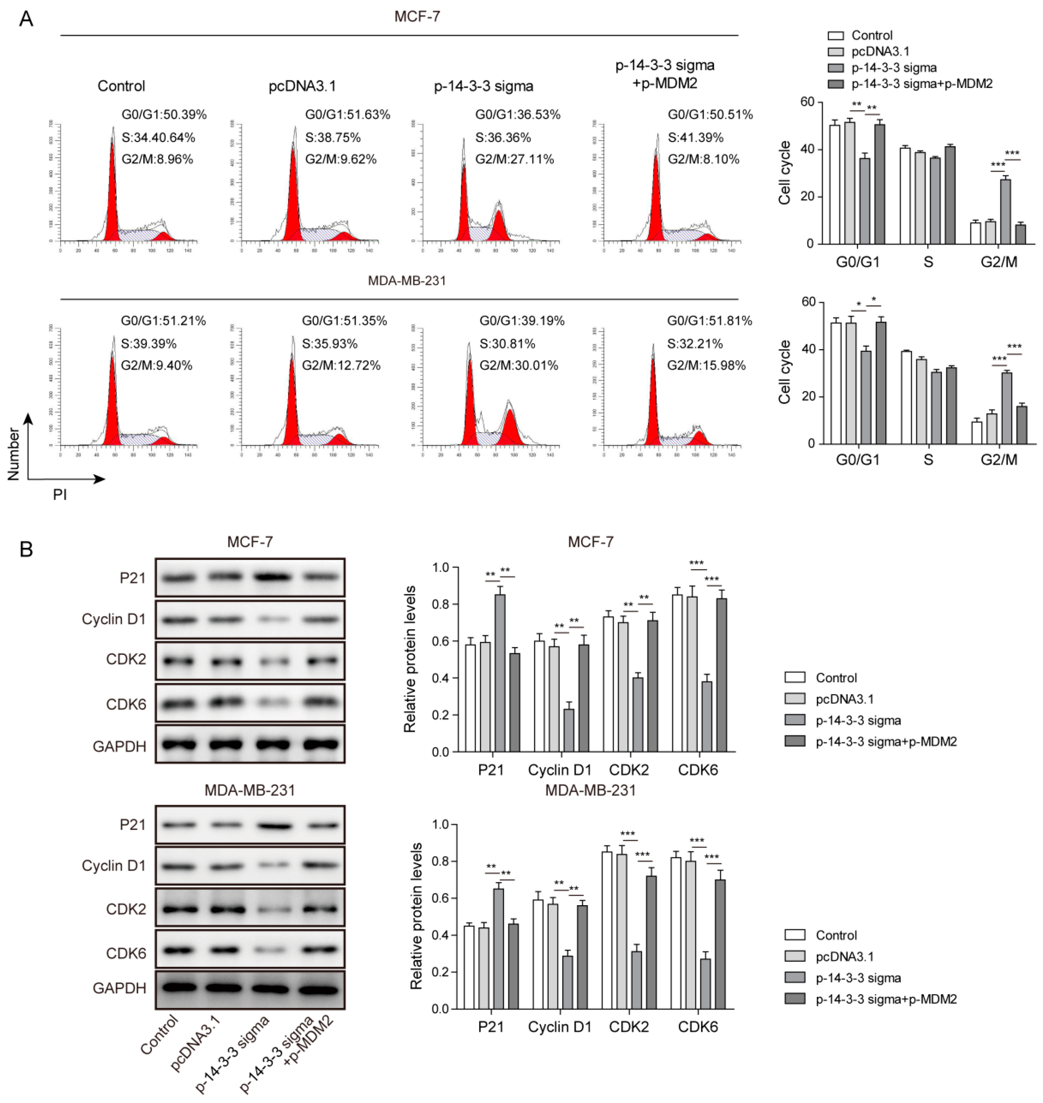 Pharmaceuticals 15 00874 g006