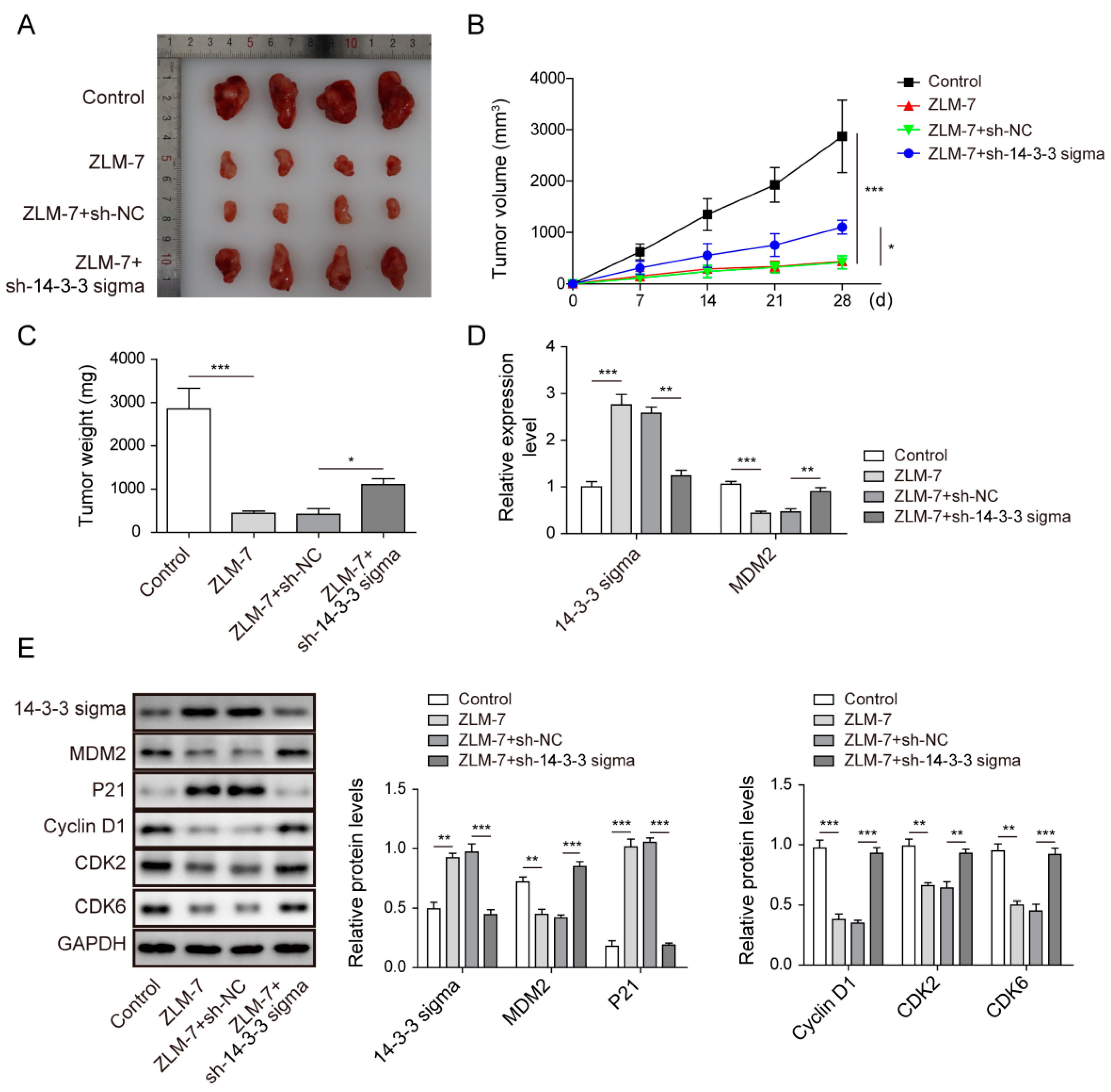 Pharmaceuticals 15 00874 g007