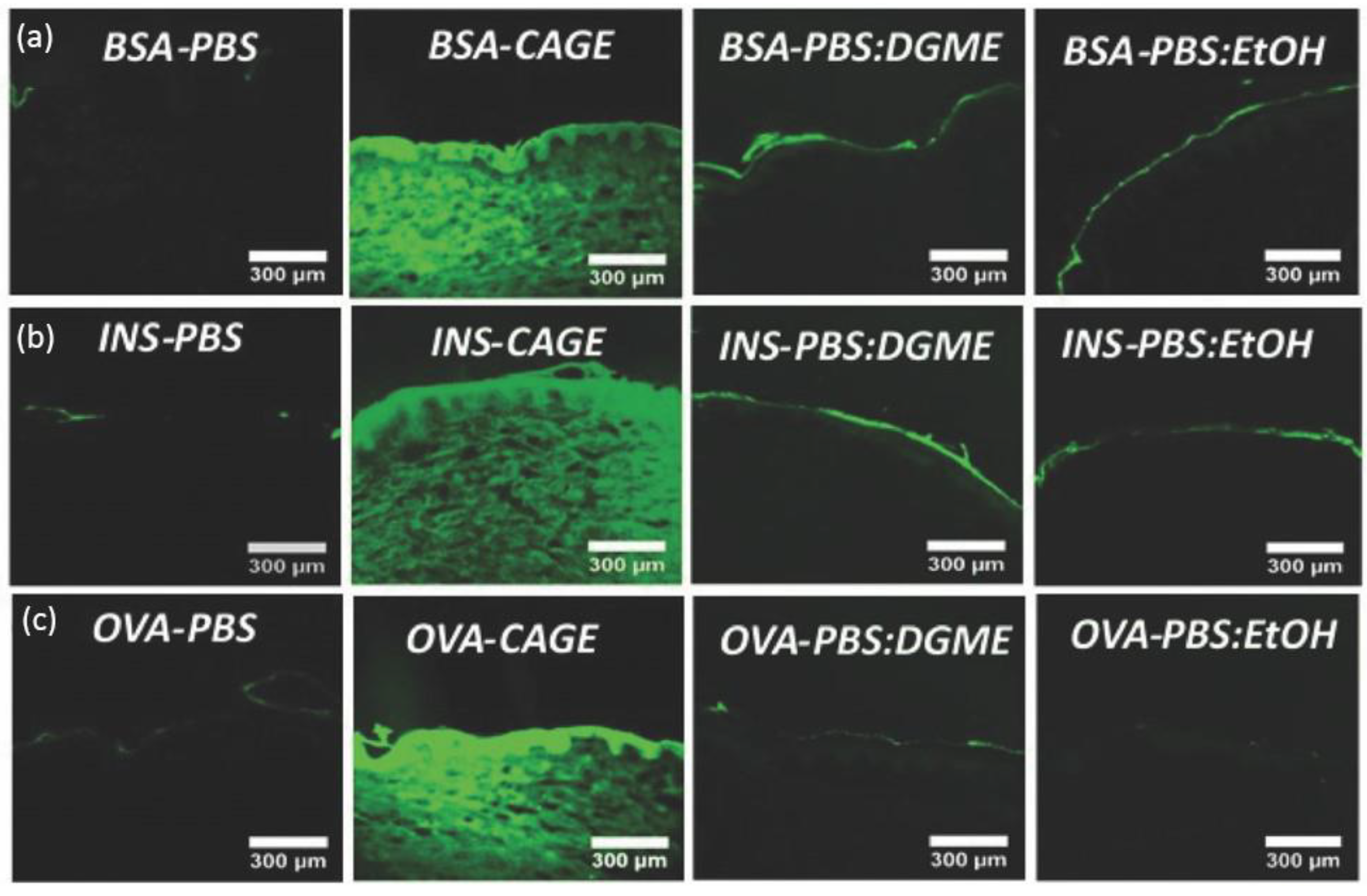 Pharmaceuticals 15 00877 g002