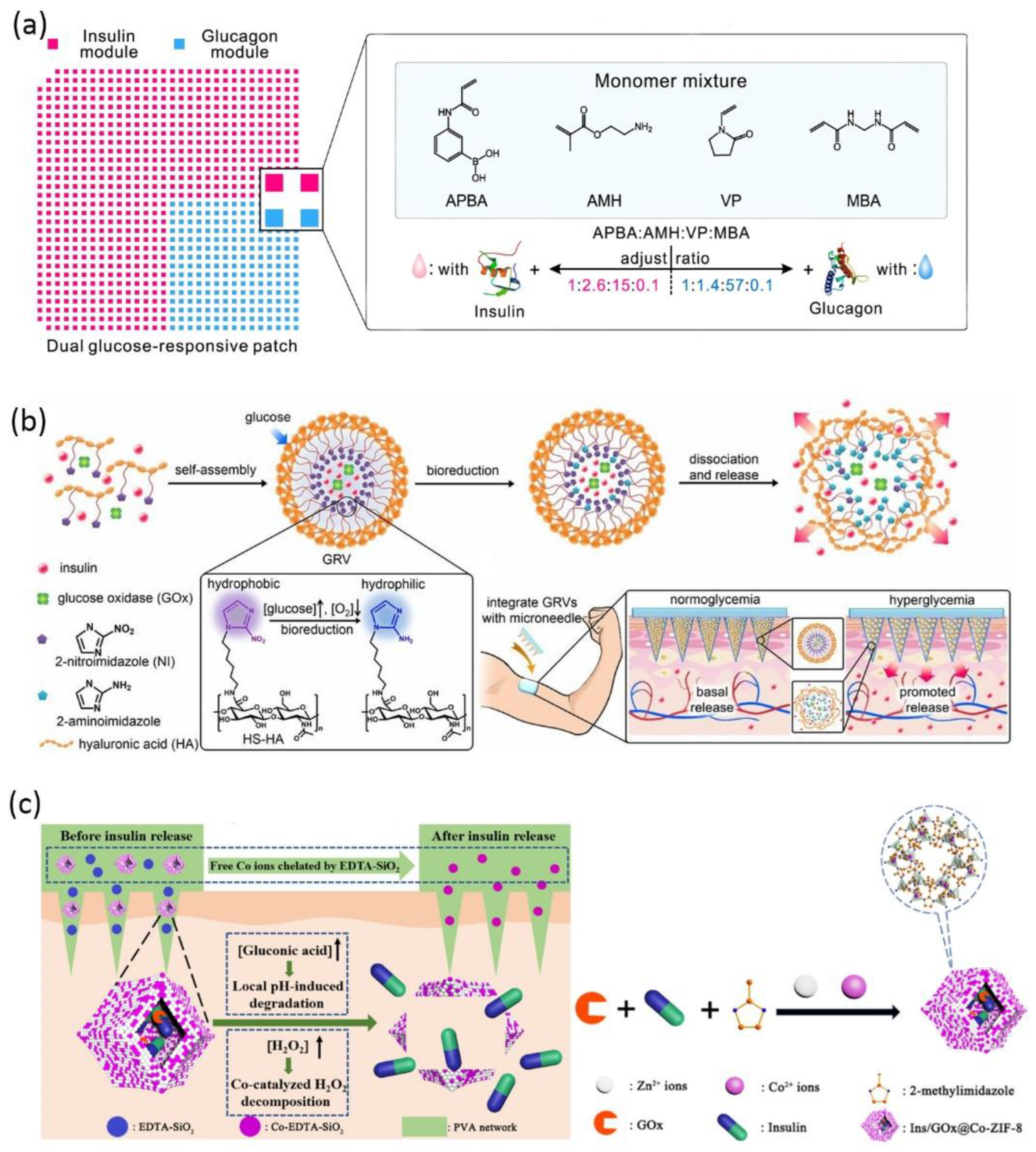 Pharmaceuticals 15 00877 g004