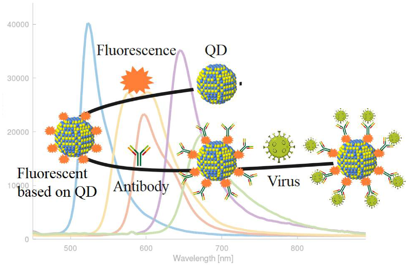 Pharmaceuticals 15 00880 g003
