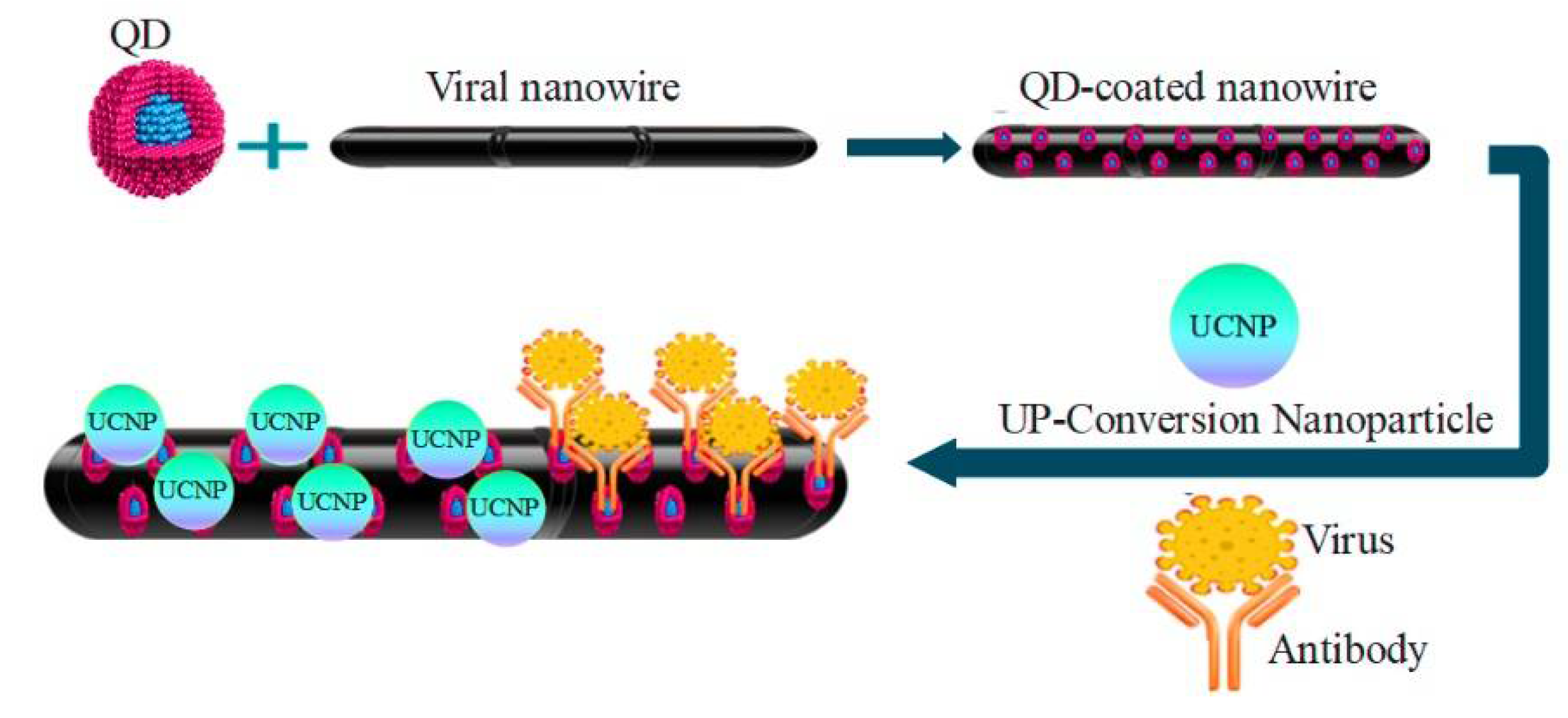 Pharmaceuticals 15 00880 g004