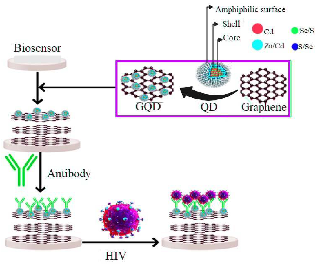 Pharmaceuticals 15 00880 g005