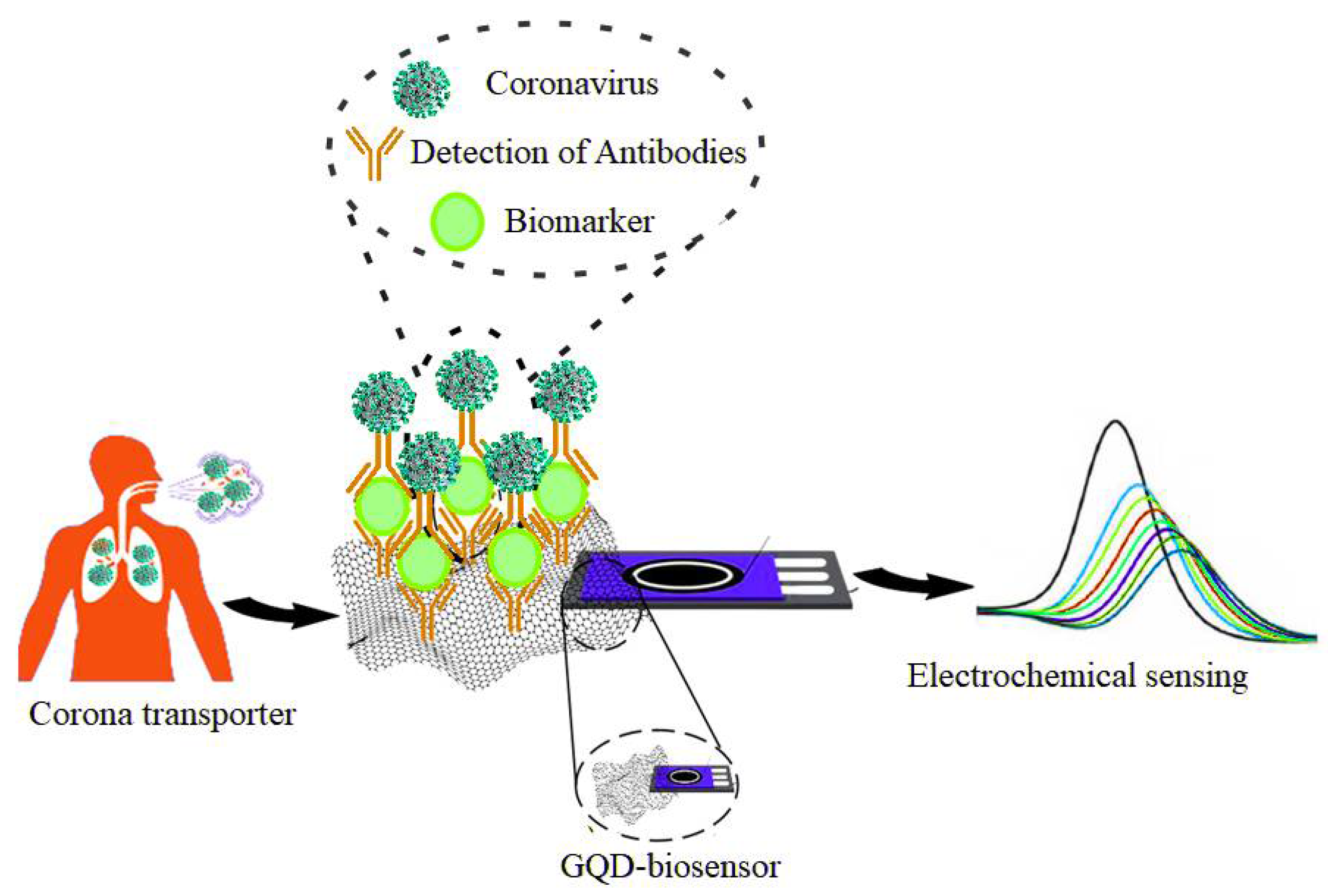Pharmaceuticals 15 00880 g008