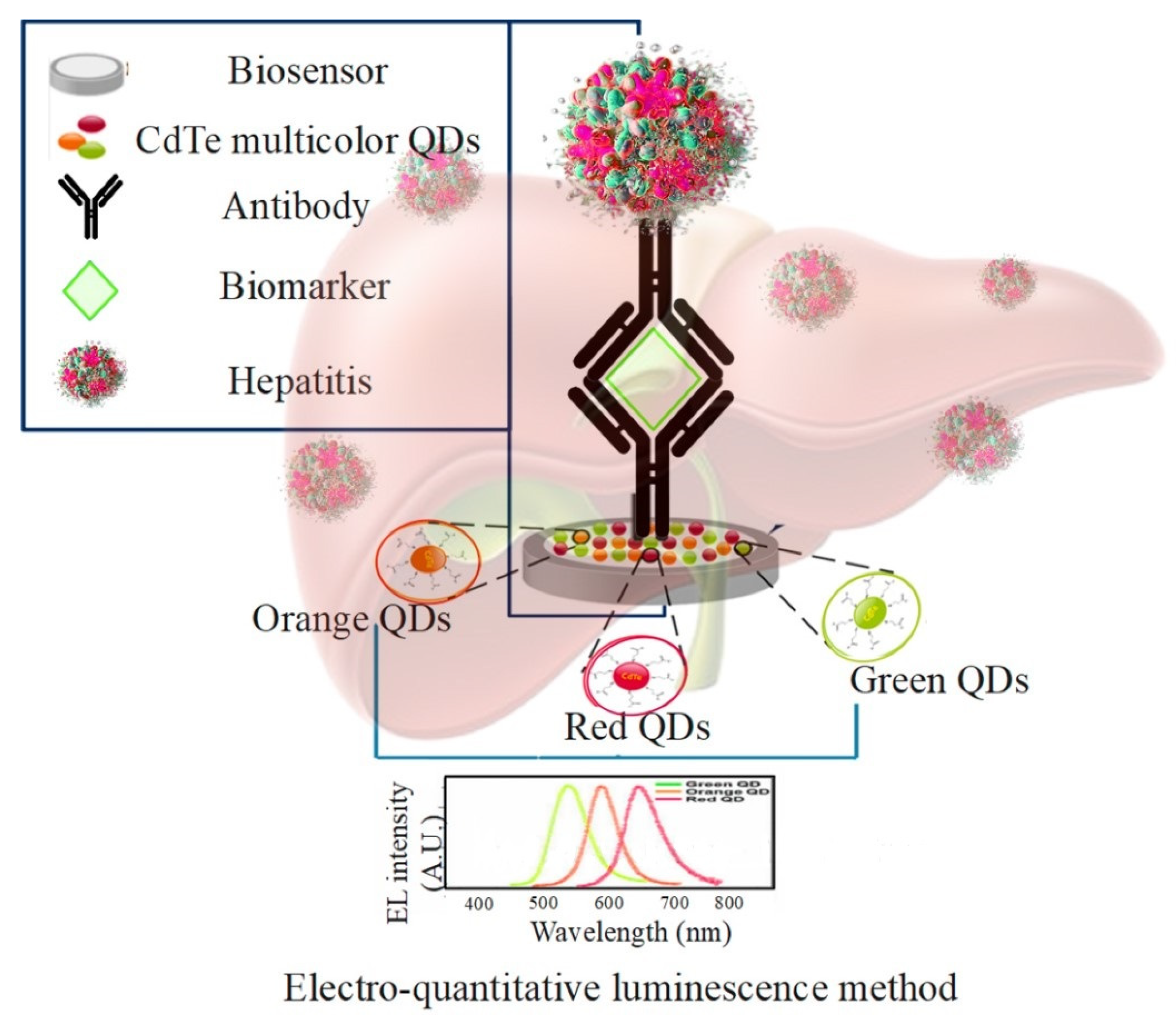 Pharmaceuticals 15 00880 g011