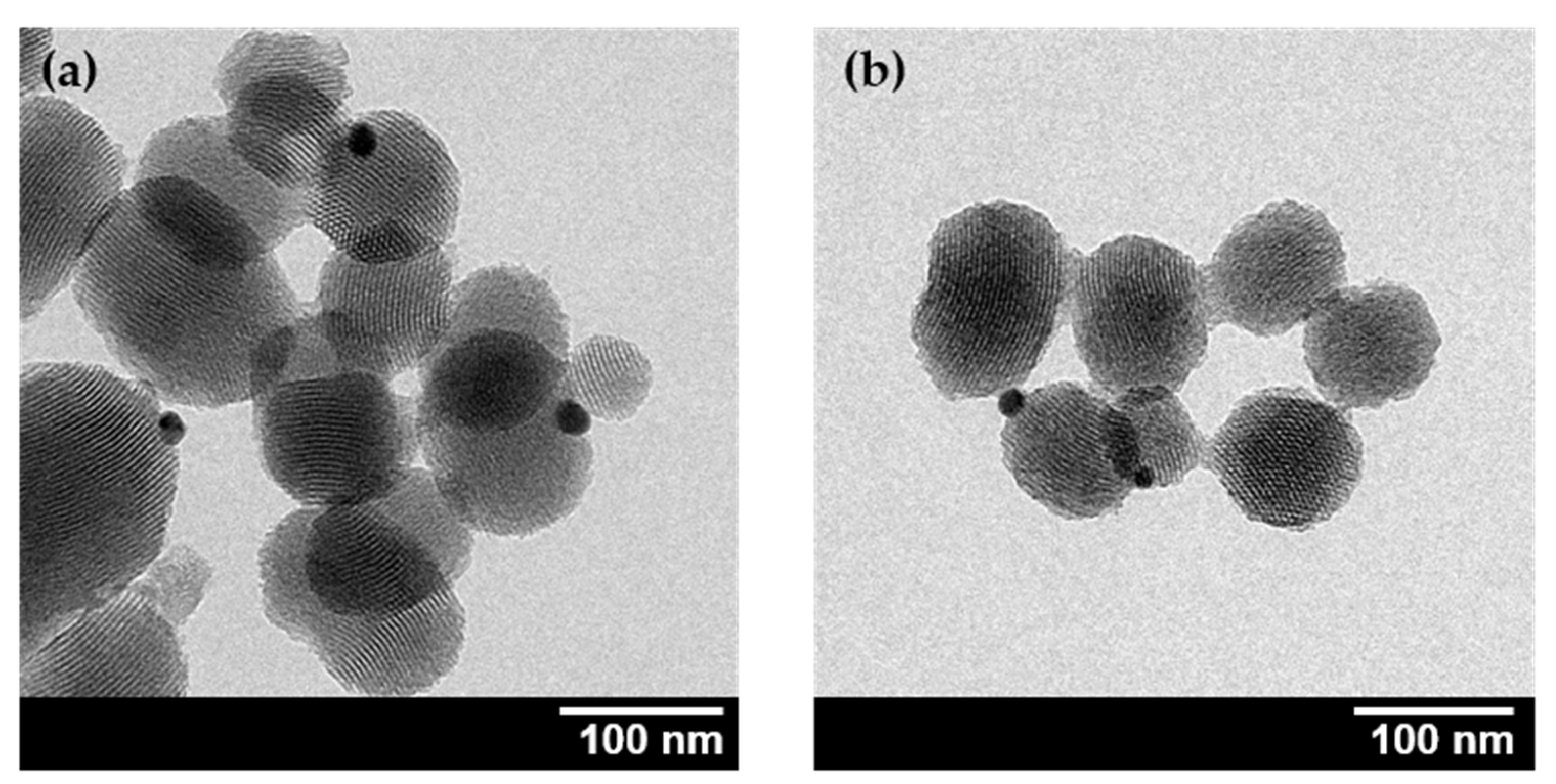 Pharmaceuticals 15 00884 g001